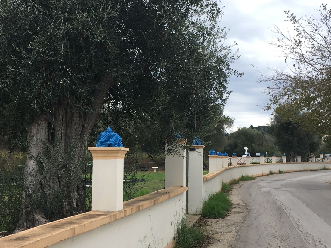 FD364C7E-BA01-453C-ABB4-BB941D2551C1