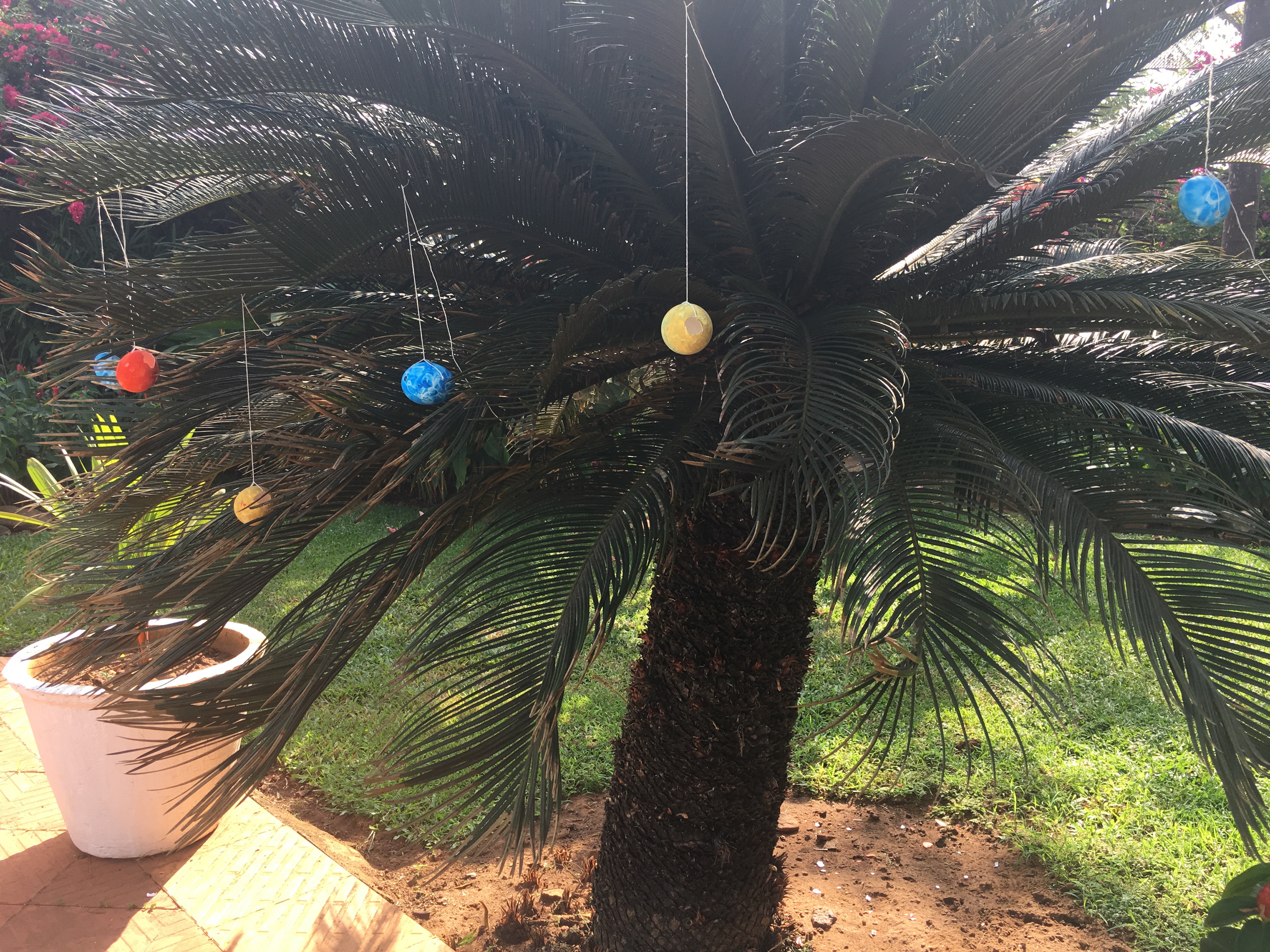 02D31C5F-CF7E-4B69-BE80-173C5F02C649