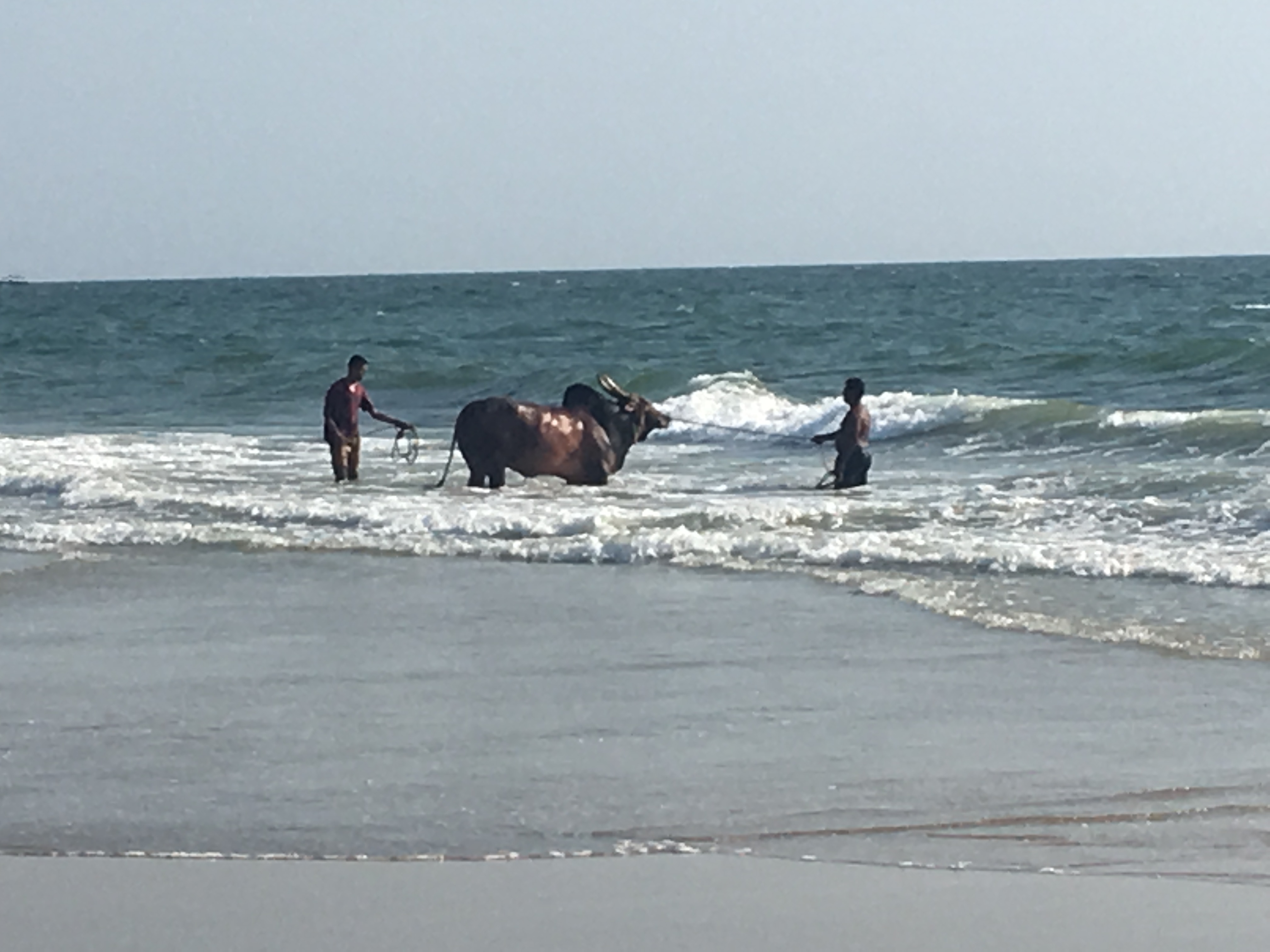 B76F40E0-CA60-44AC-8A8B-F70F10C92A01