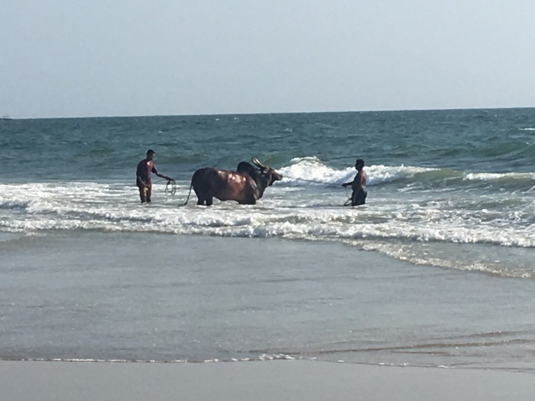 B76F40E0-CA60-44AC-8A8B-F70F10C92A01