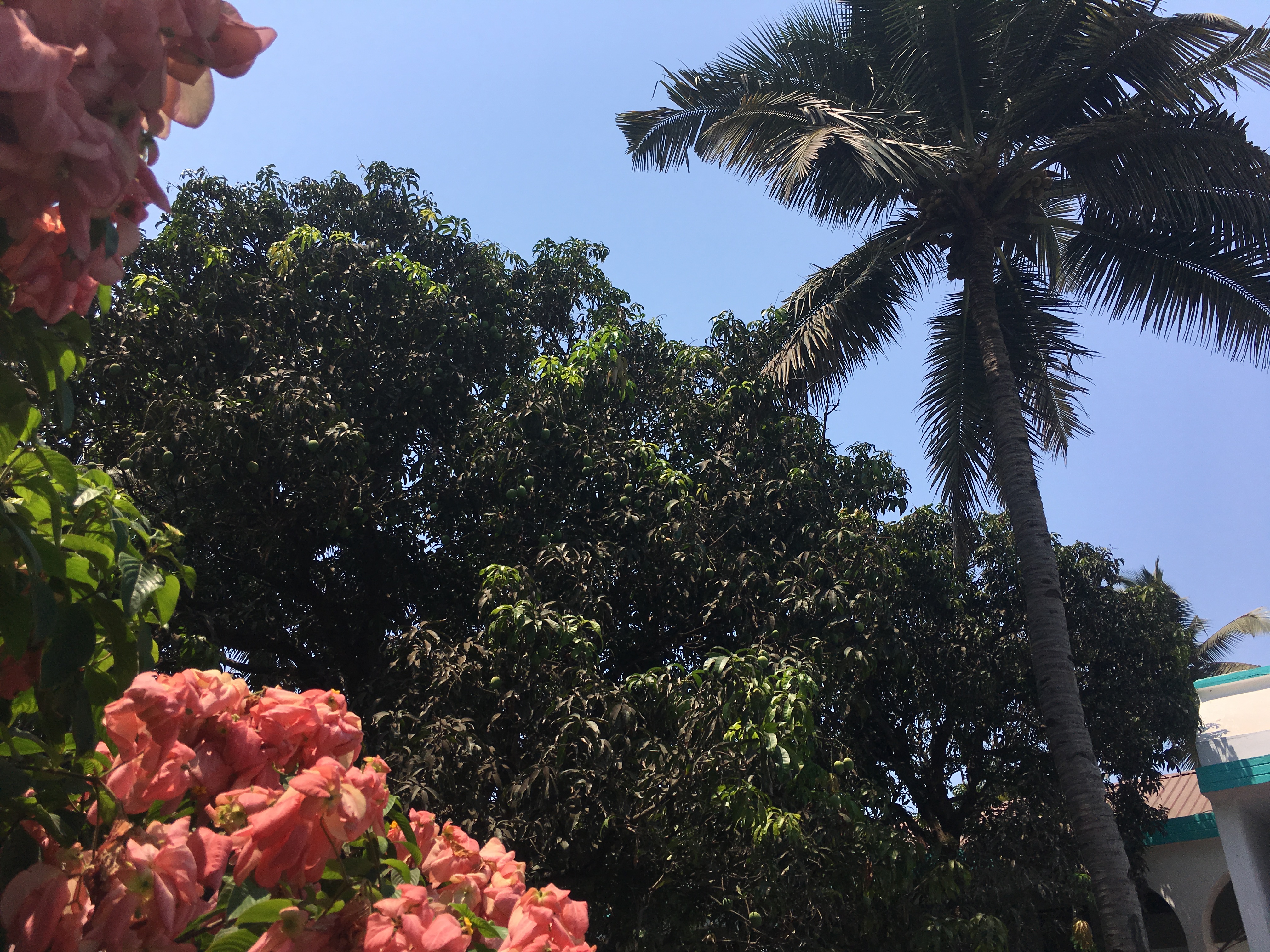 C8127E98-0254-404A-8CB3-98DD5B181530