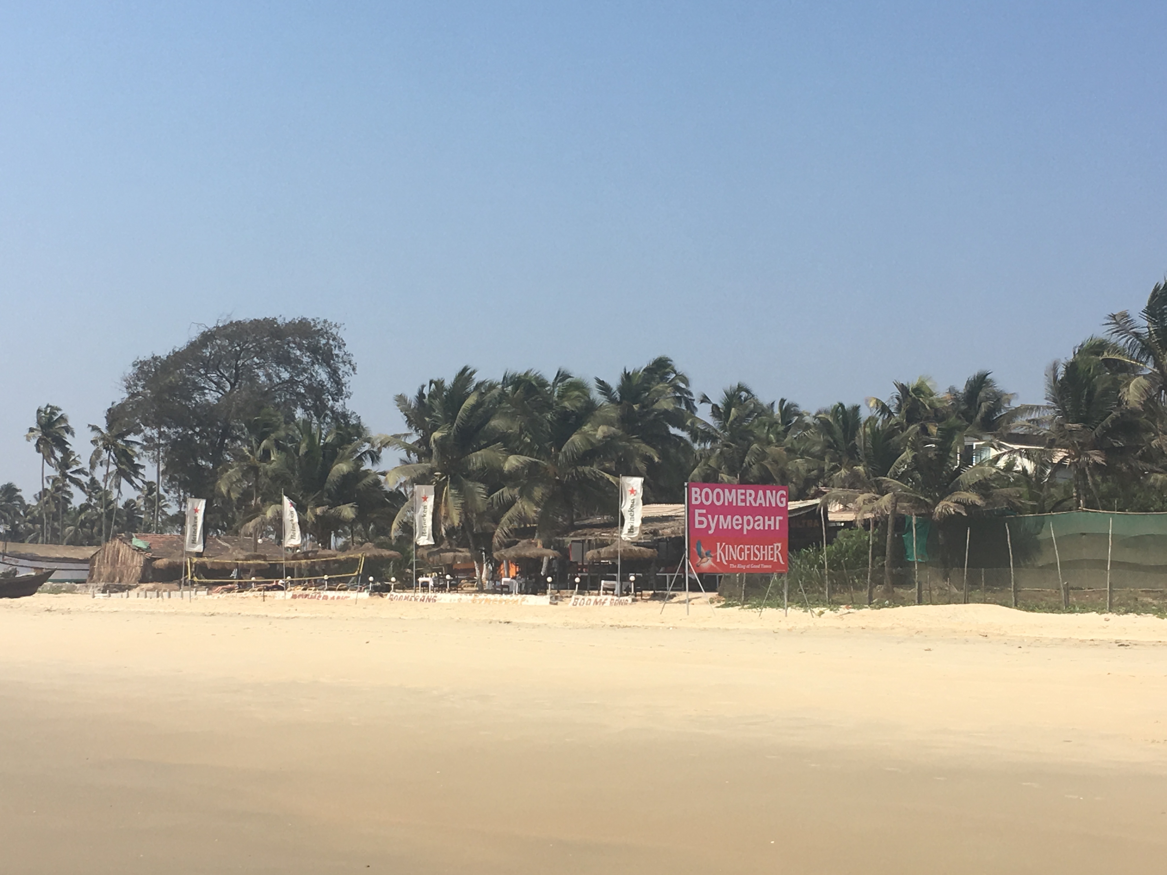 C91F53C5-B334-4B07-958A-76CED78F875F