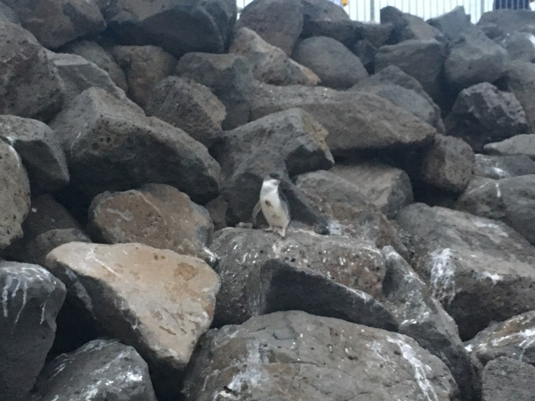 152FE687-E36C-4ACF-9320-ED1C85909612