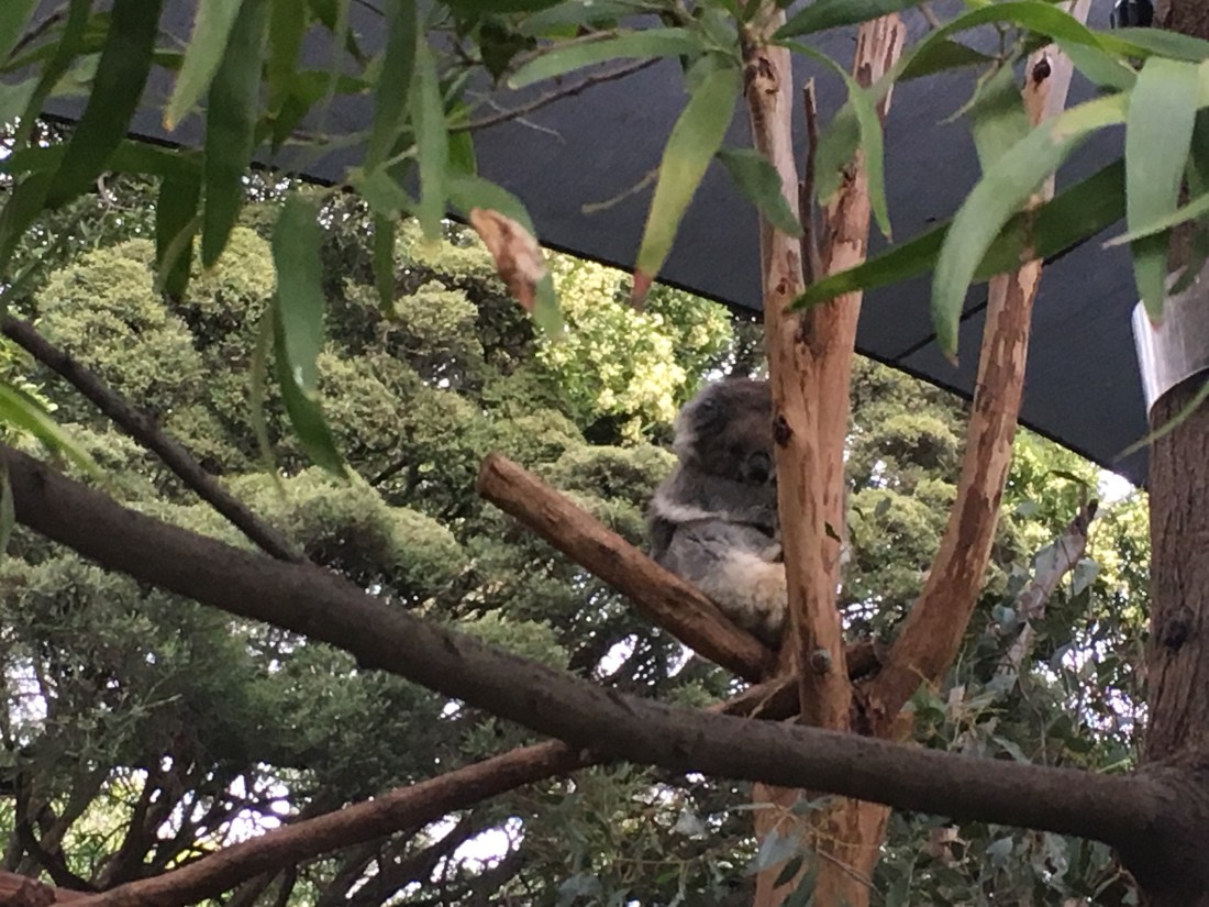 1DD06AC9-F799-457F-A9A0-CFBB723BB706