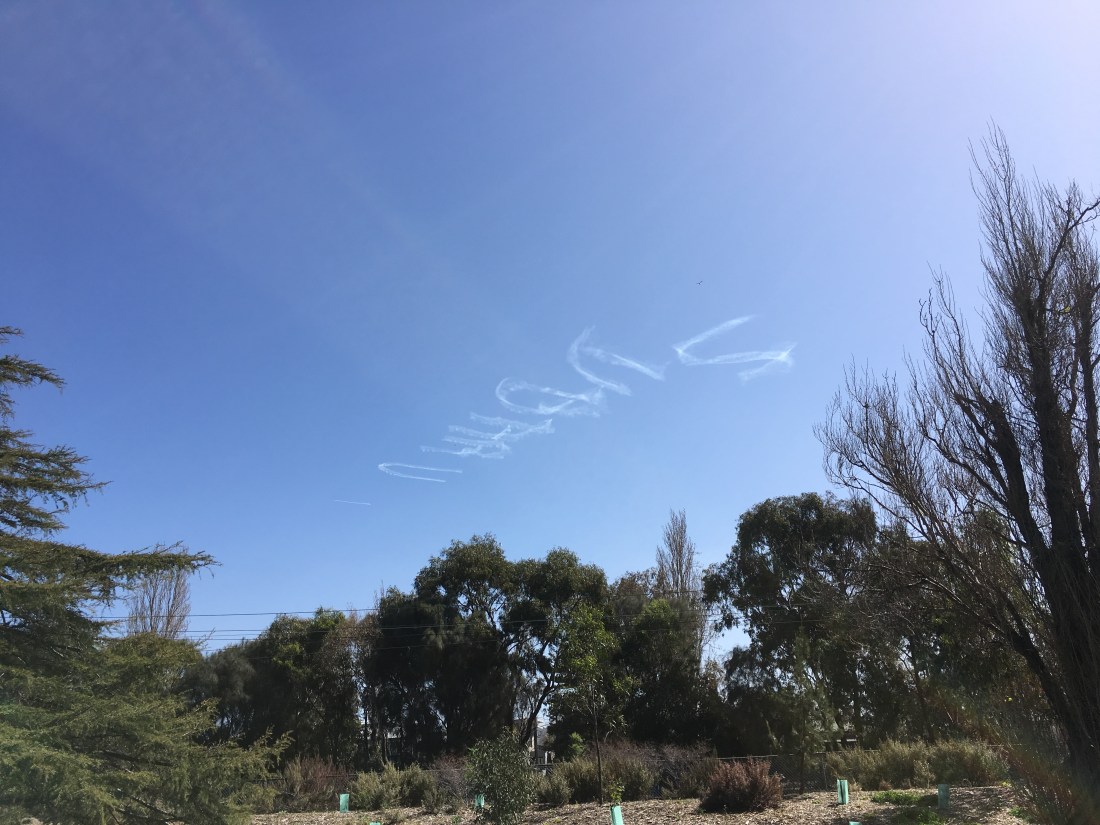 240A169E-1EC6-43BE-915E-AEFE6FCA4B08