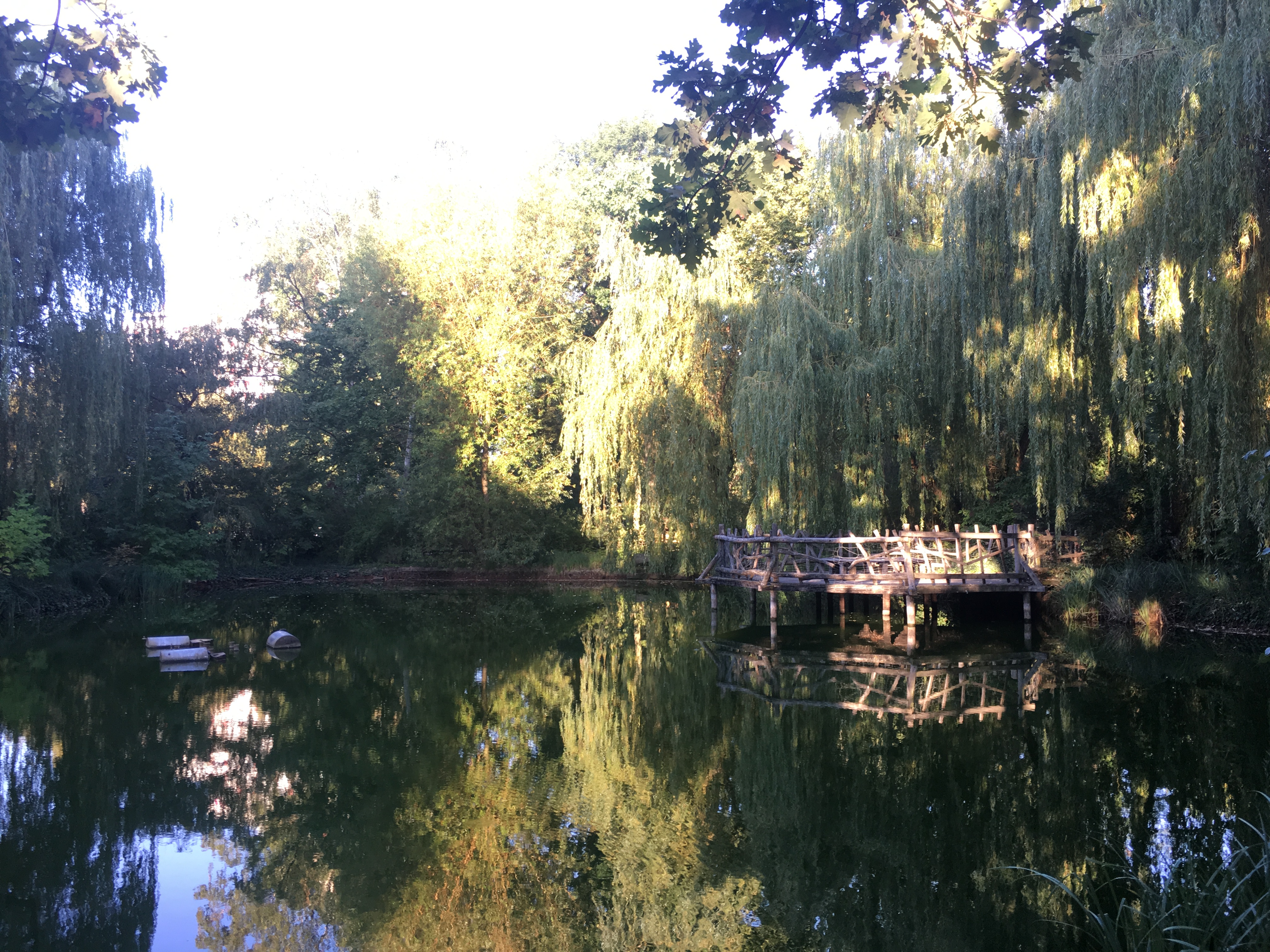 8526E947-0B9C-49E1-A736-1A3C839C291E