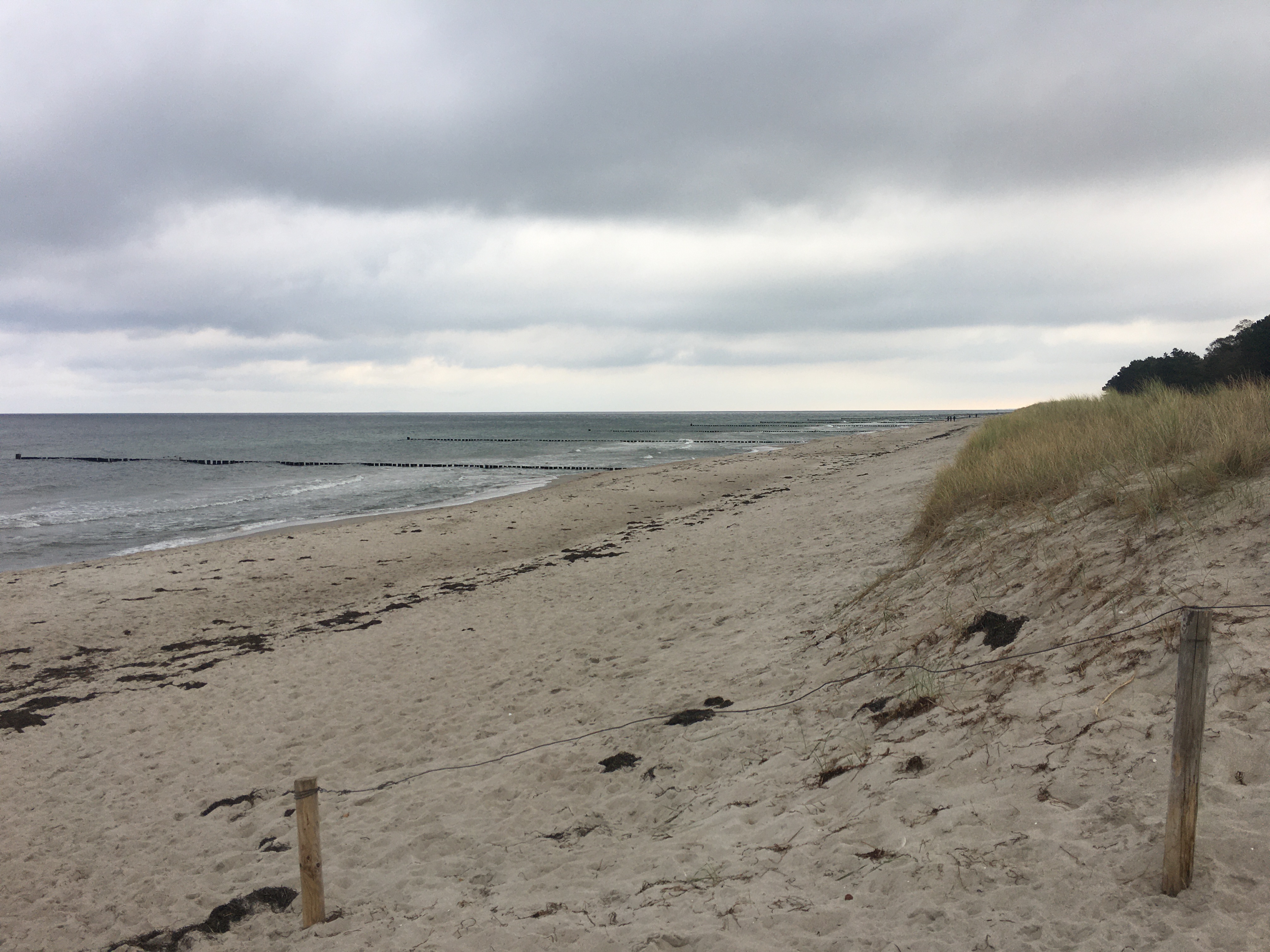 047C72F6-E154-45D3-A706-FDCD631E45FD