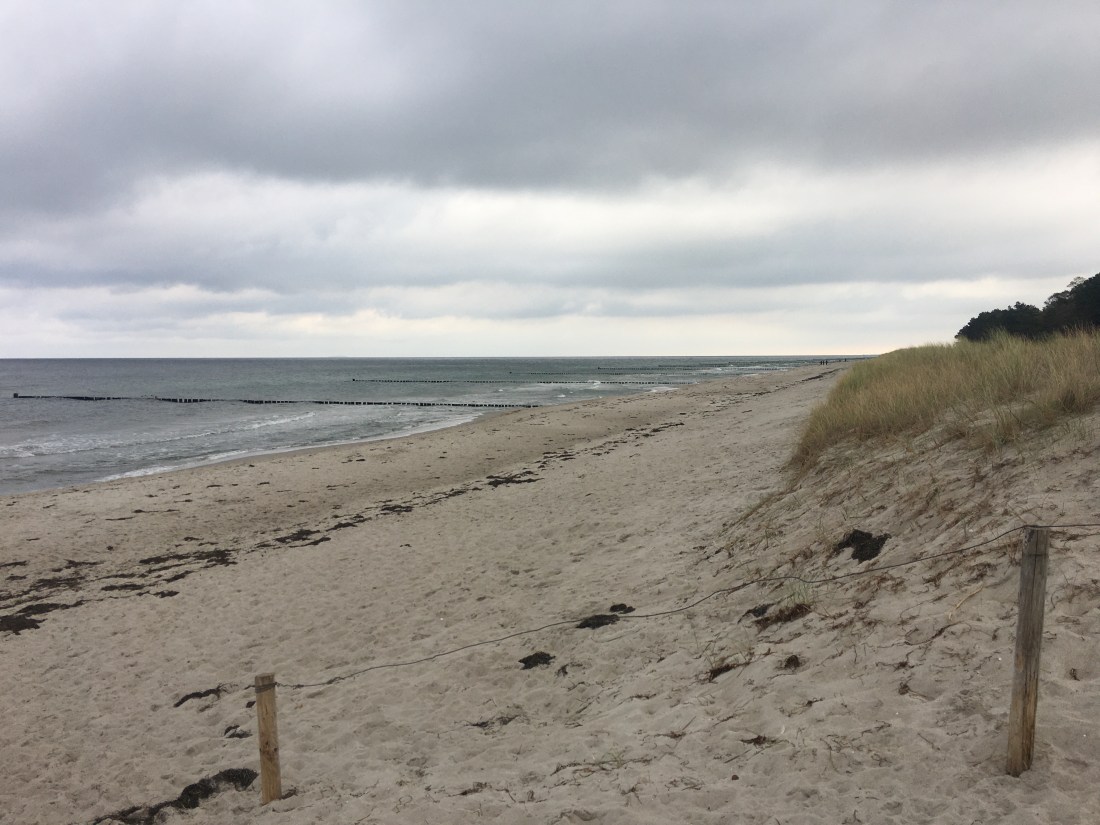 047C72F6-E154-45D3-A706-FDCD631E45FD