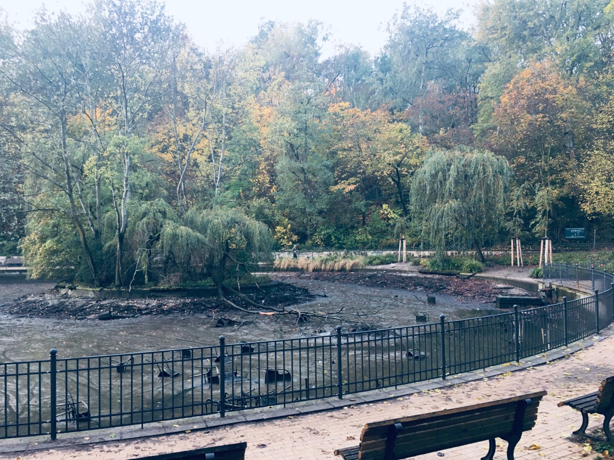 55) Ebbe im&nbsp;Teich