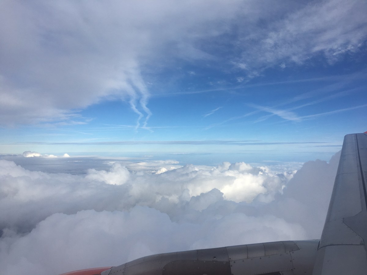 37) Virenschleuder und Kniescheiben-Spalter