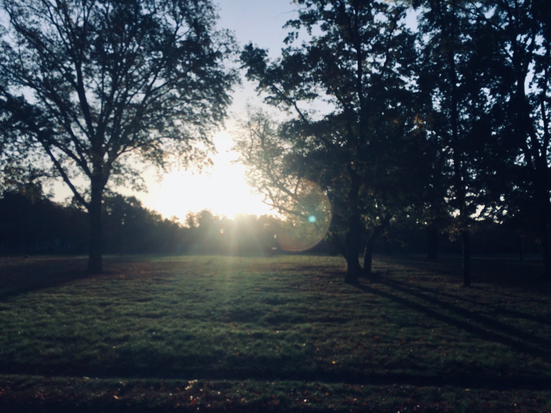 7385EC02-13B4-4F5A-94F4-4A0C21661A69