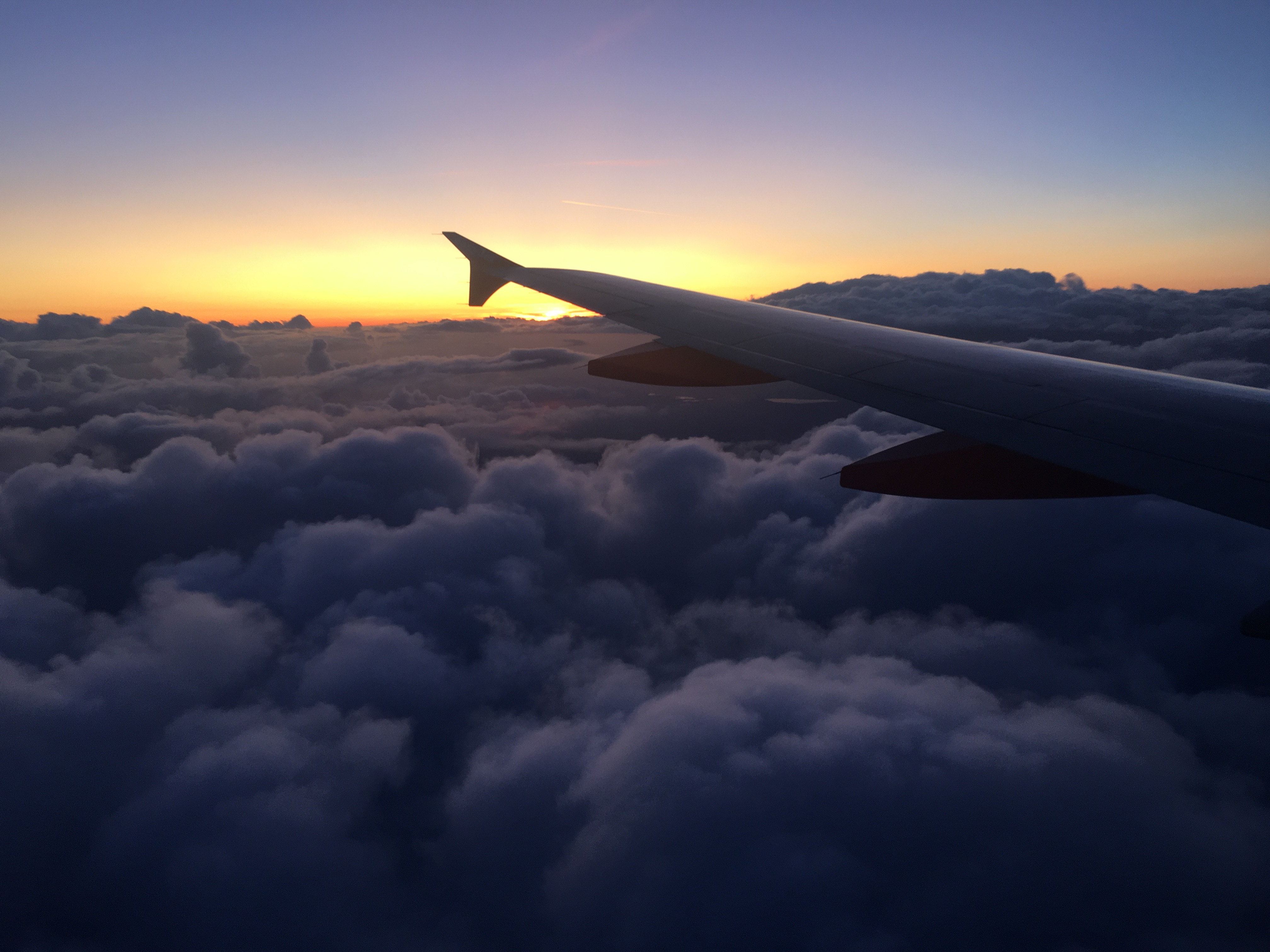 B5EA20F6-206C-4F12-B3F4-48BDC7950A3A