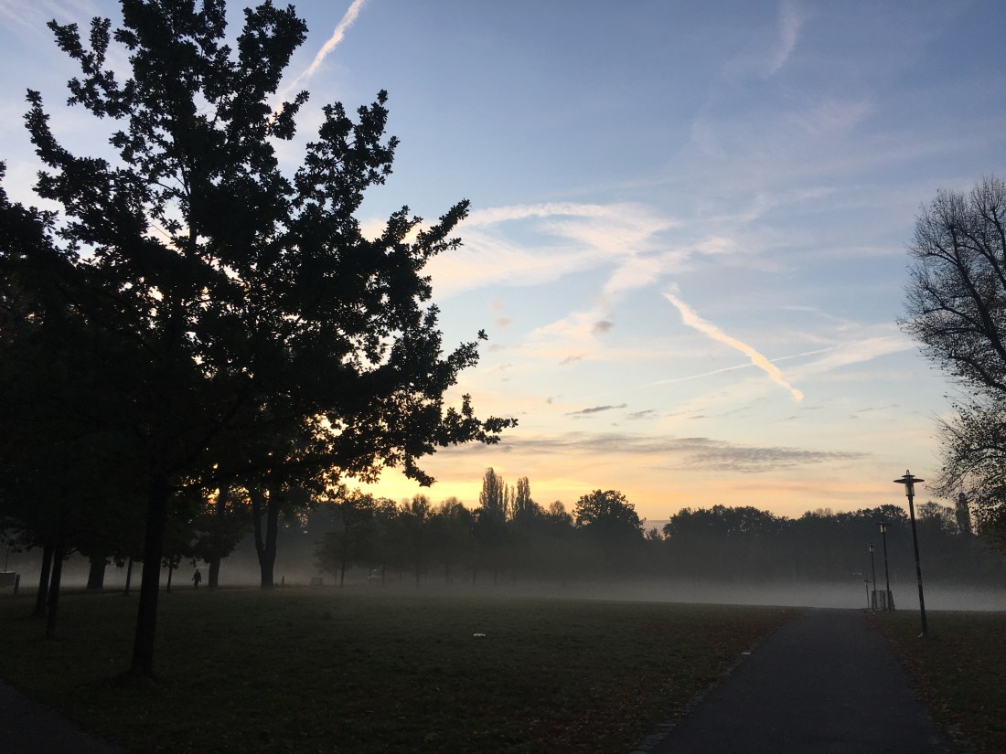 C56952AF-16C0-4DB4-823E-EA2B81B117BA