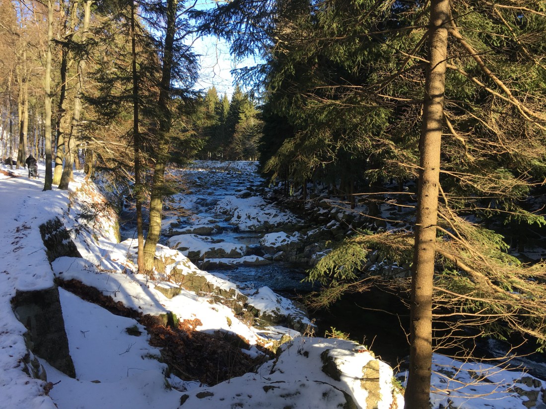 98AAE17D-D755-46E4-BCDF-B58E6FEA8C03