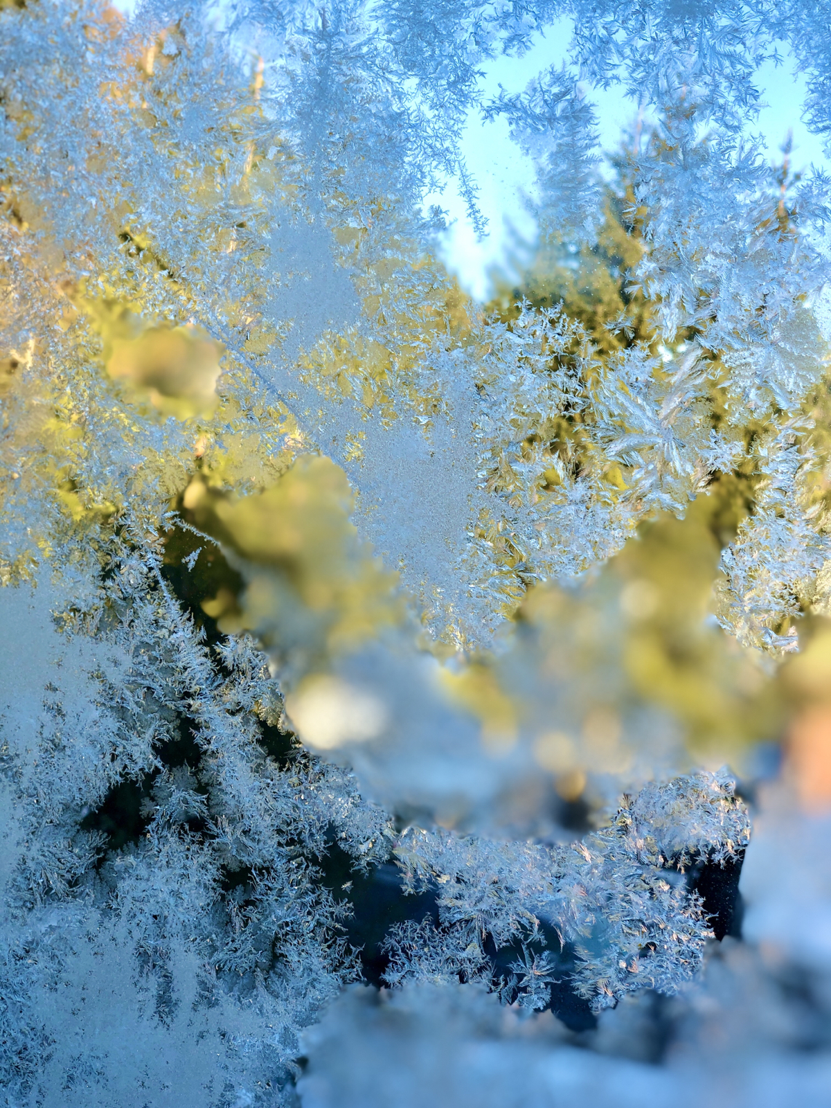 DED4AB9C-435C-4AF5-81F5-1A298FB724AA