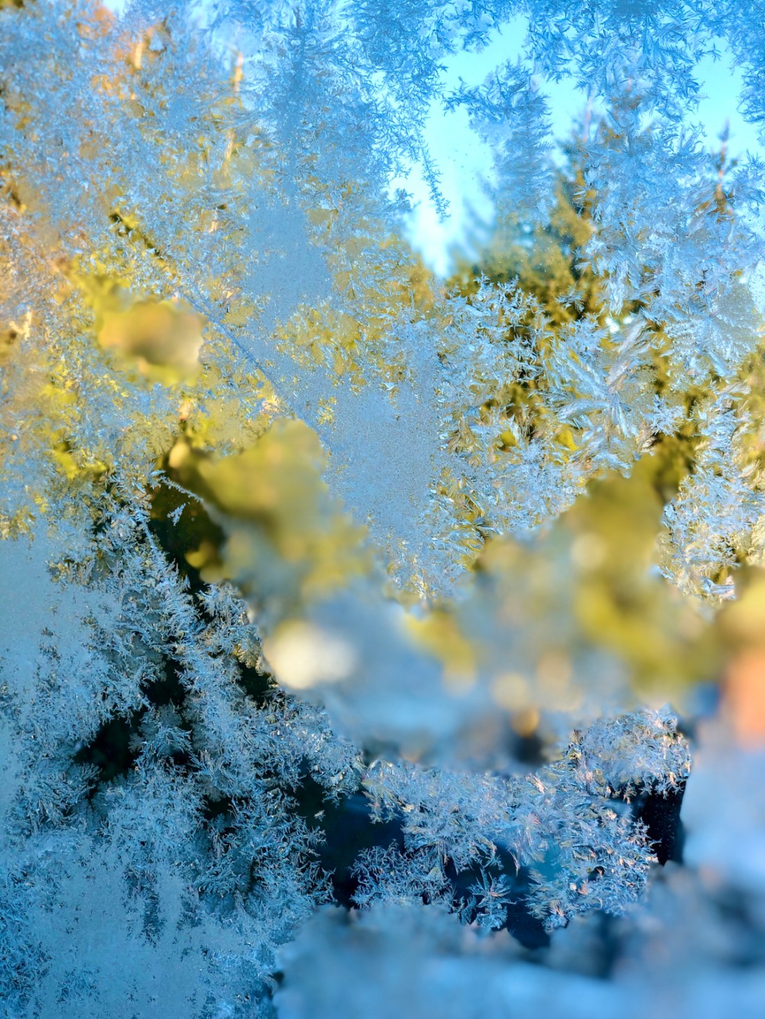 DED4AB9C-435C-4AF5-81F5-1A298FB724AA