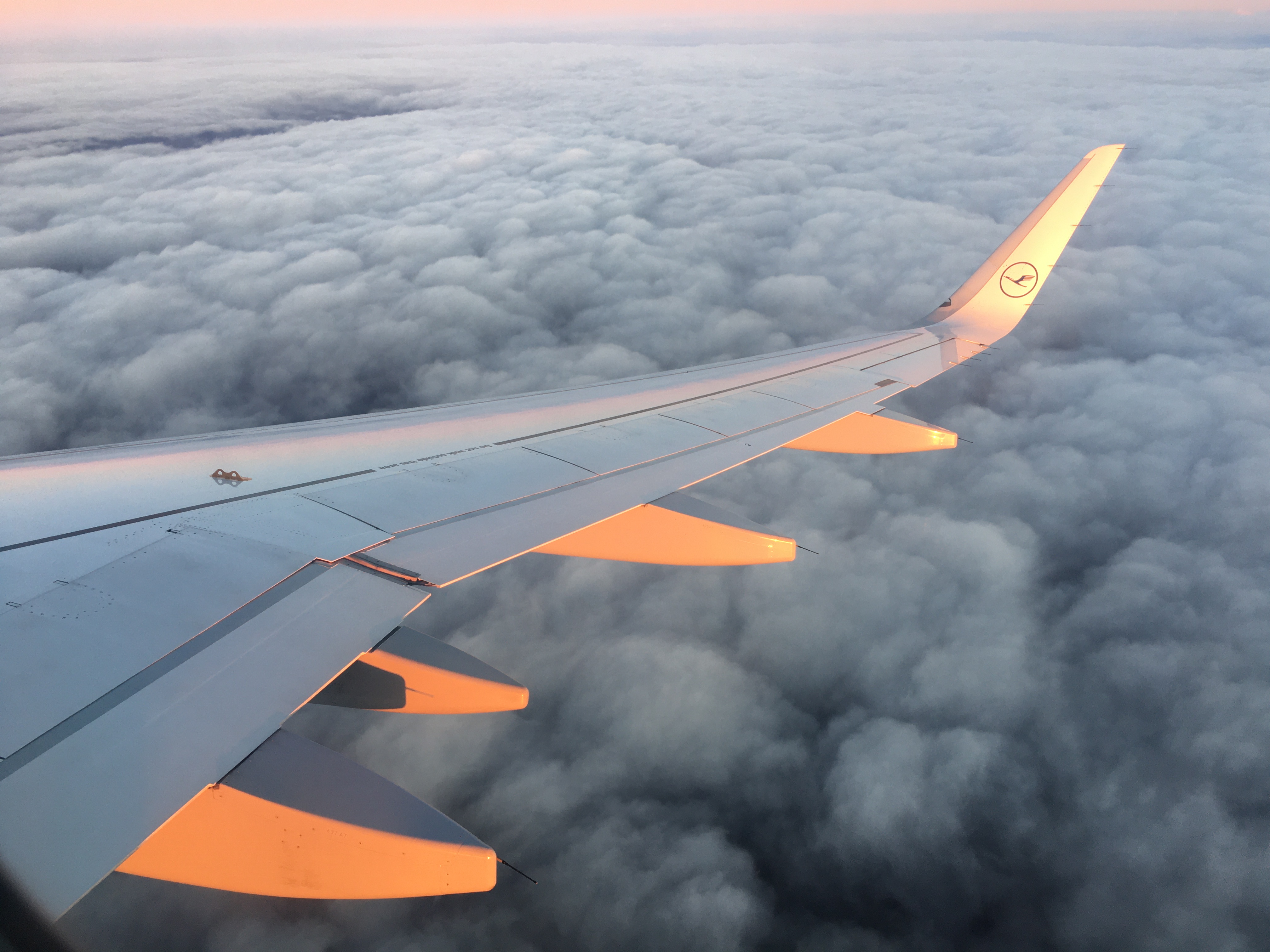 3162DF77-B7C9-438E-A350-1627395B6FFE