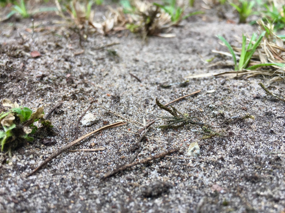 17) Abwärts – Vol&nbsp;1