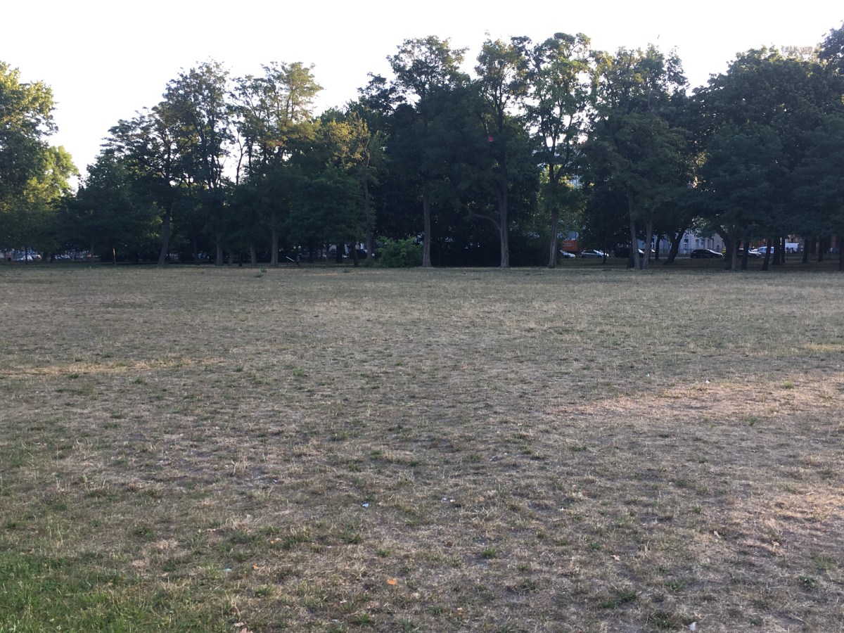 64) Berlinari Desert