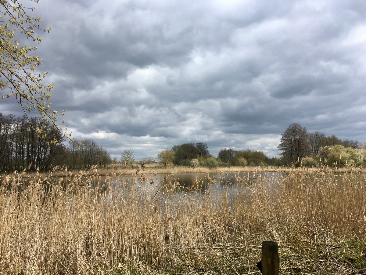 46) Postkarte aus dem Barnimer&nbsp;Land