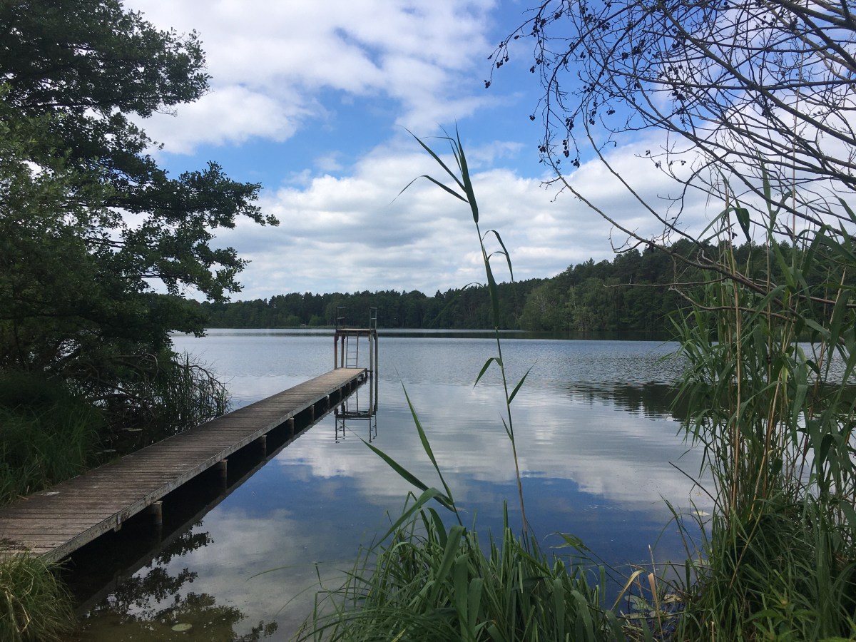 47) Postkarte aus&nbsp;Ostprigniz