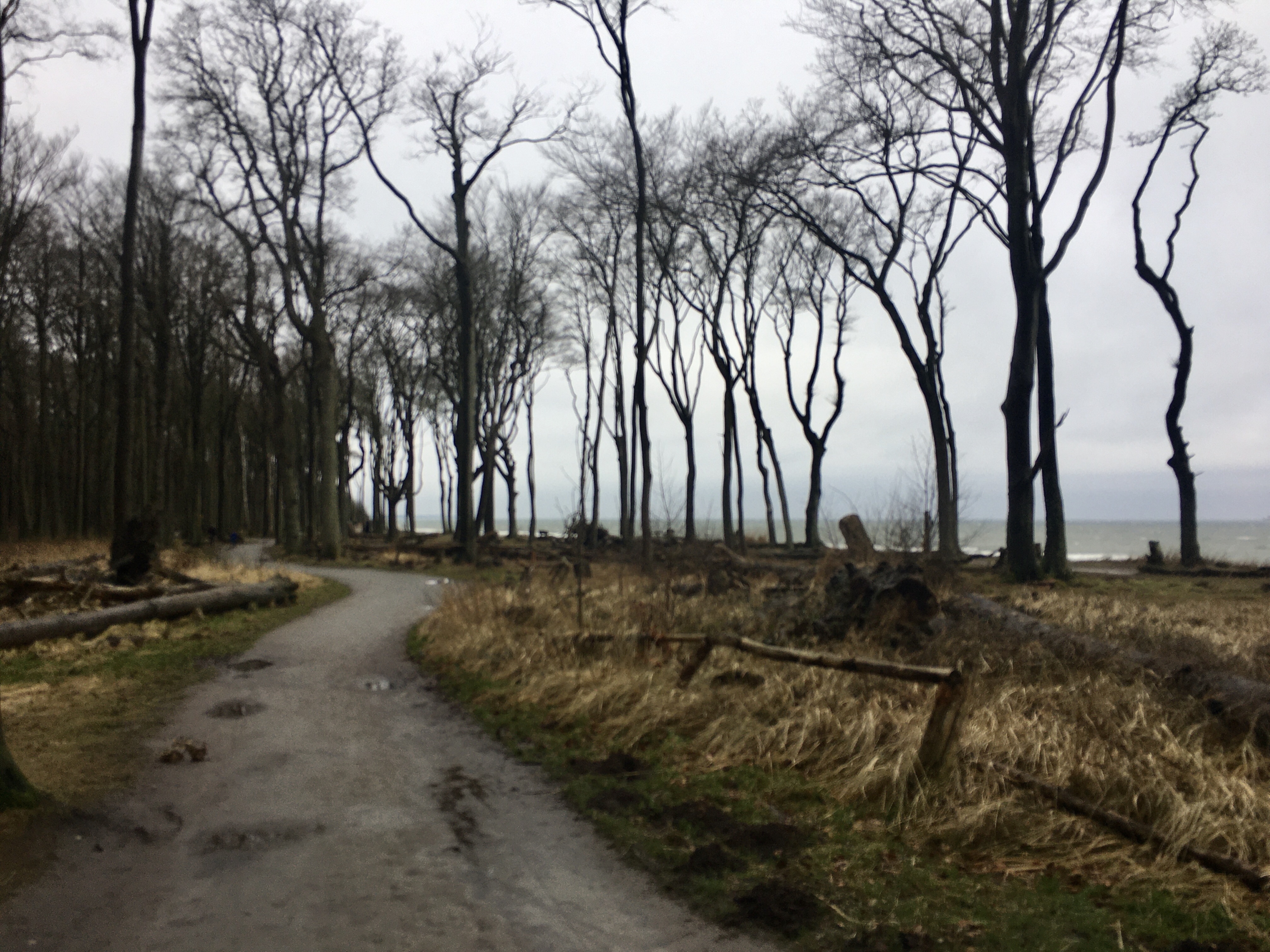 7161BD9A-D9F7-400B-81FD-C863EE617D44