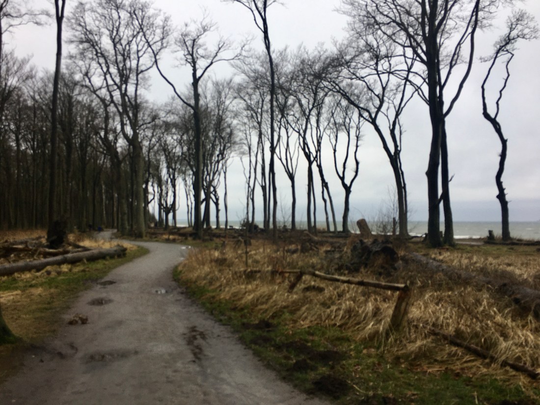 7161BD9A-D9F7-400B-81FD-C863EE617D44