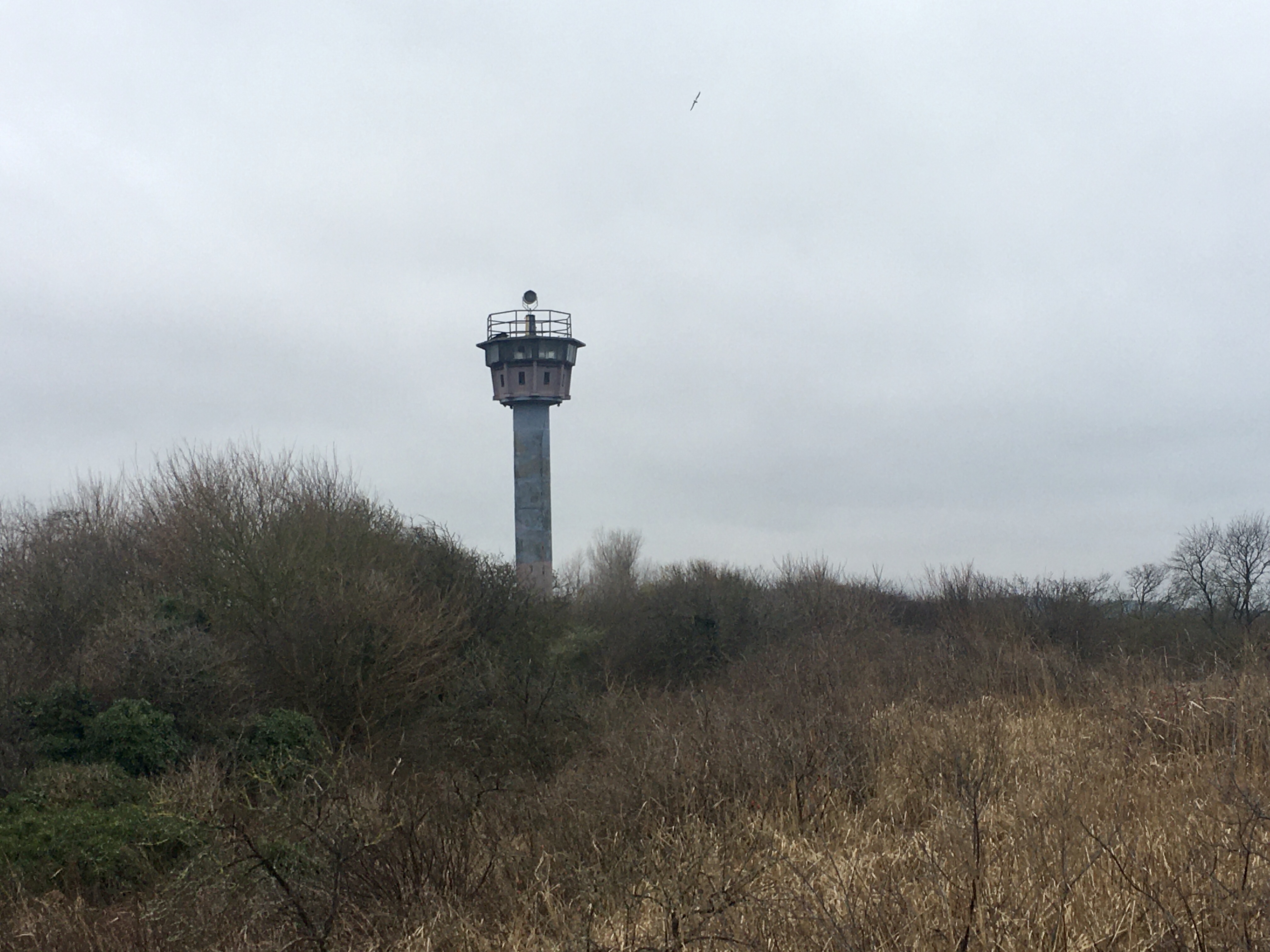 77CEB343-D3B0-4E37-9933-50CA7C65BF3C