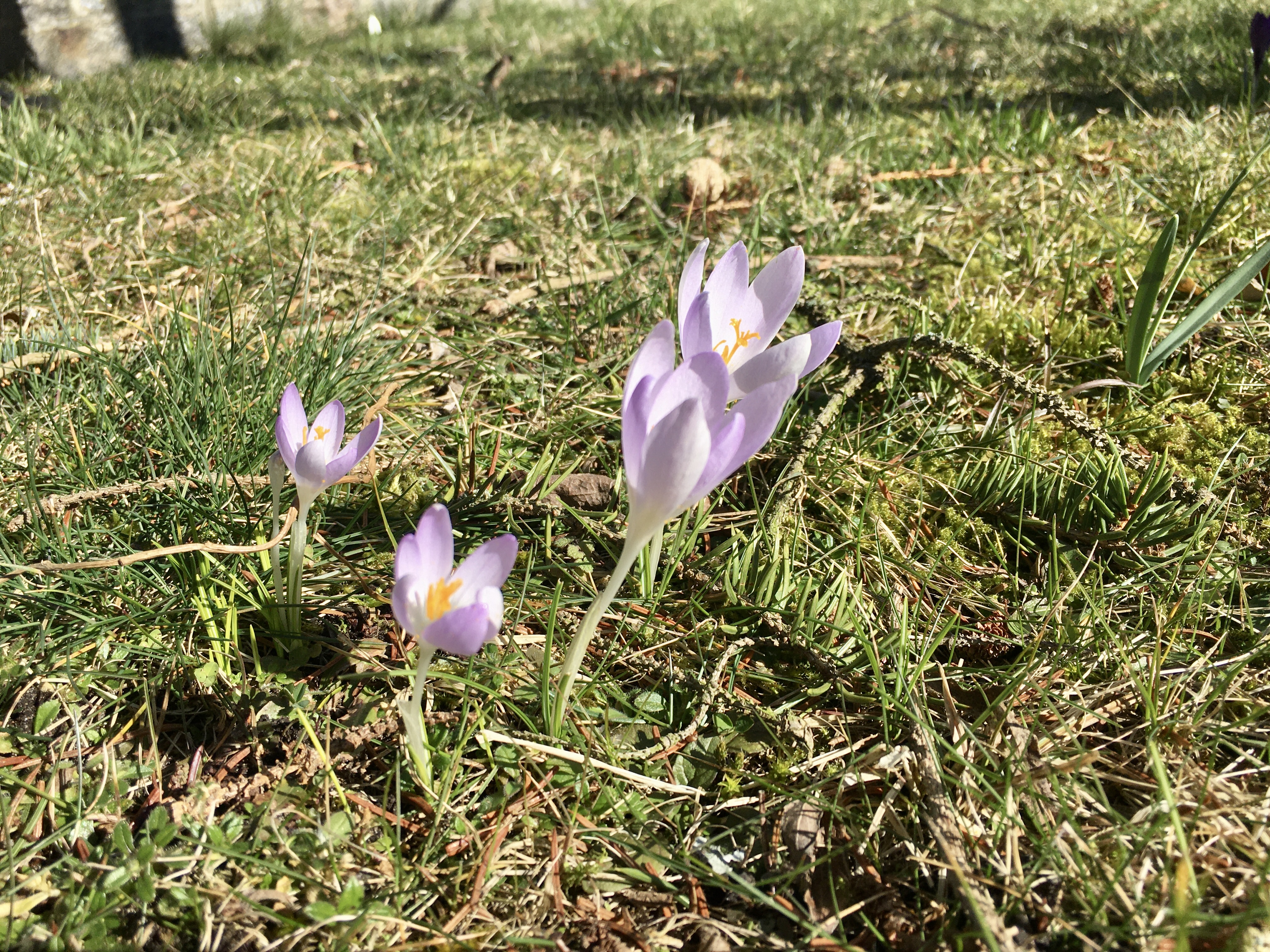 F77DEC51-6C2F-4634-8F5A-955B7B2493B8