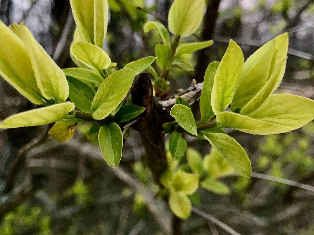 6) Ruled by prejudices (Guest Post by&nbsp;FreeDobby)