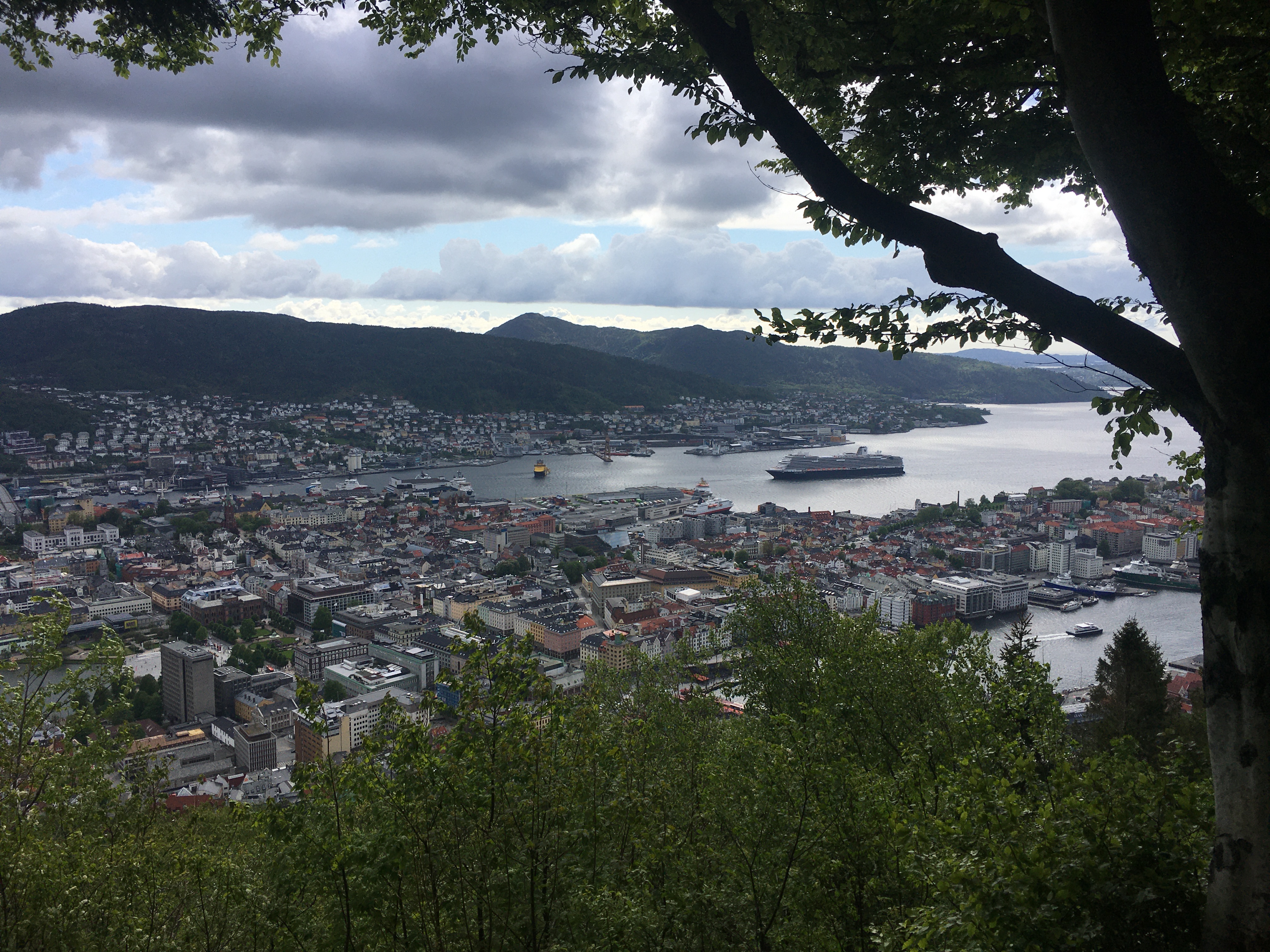 242E9E6F-2FB9-496B-A29B-B0EA892068FE