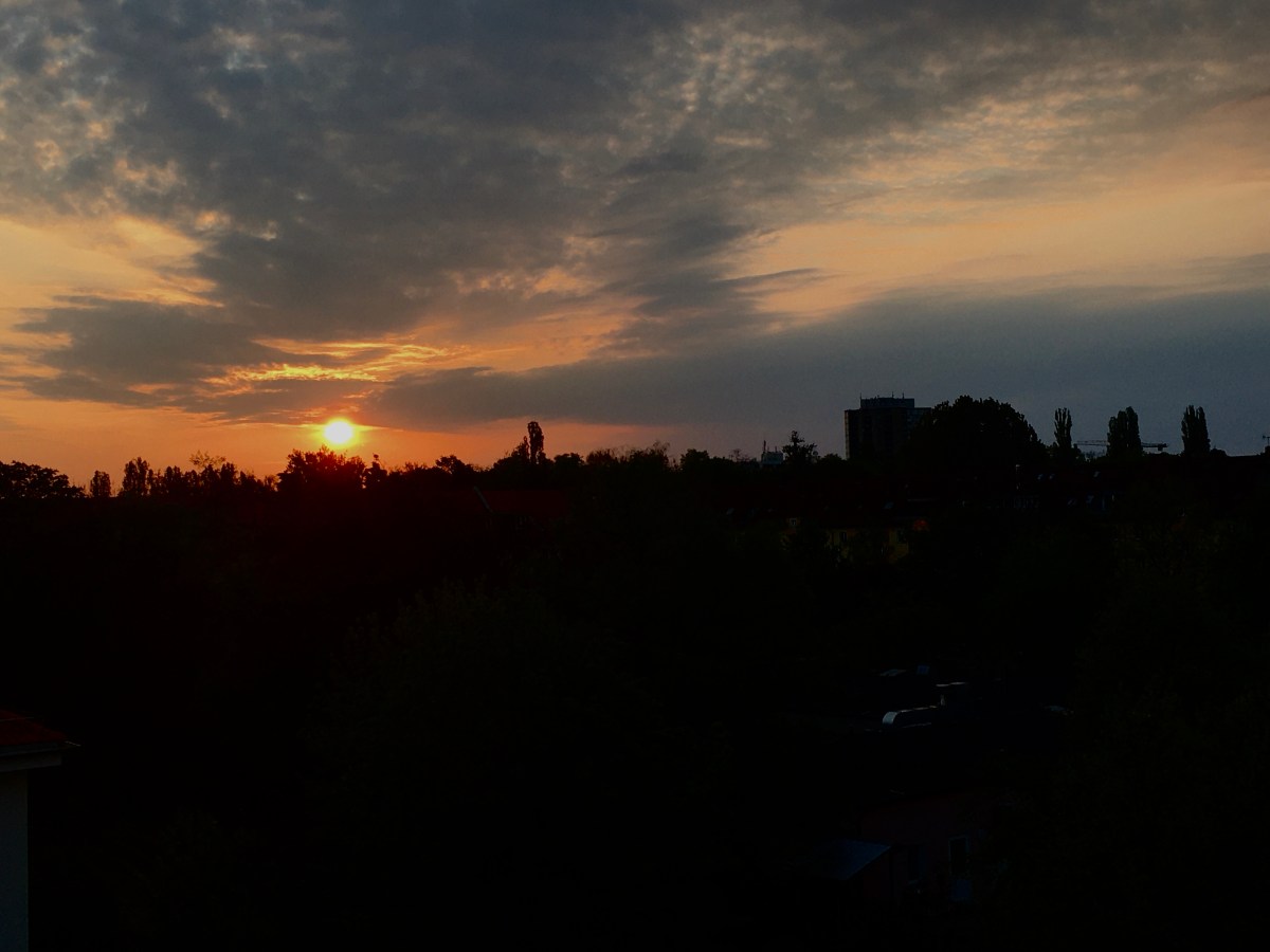 76) Ornithologische Bettflucht