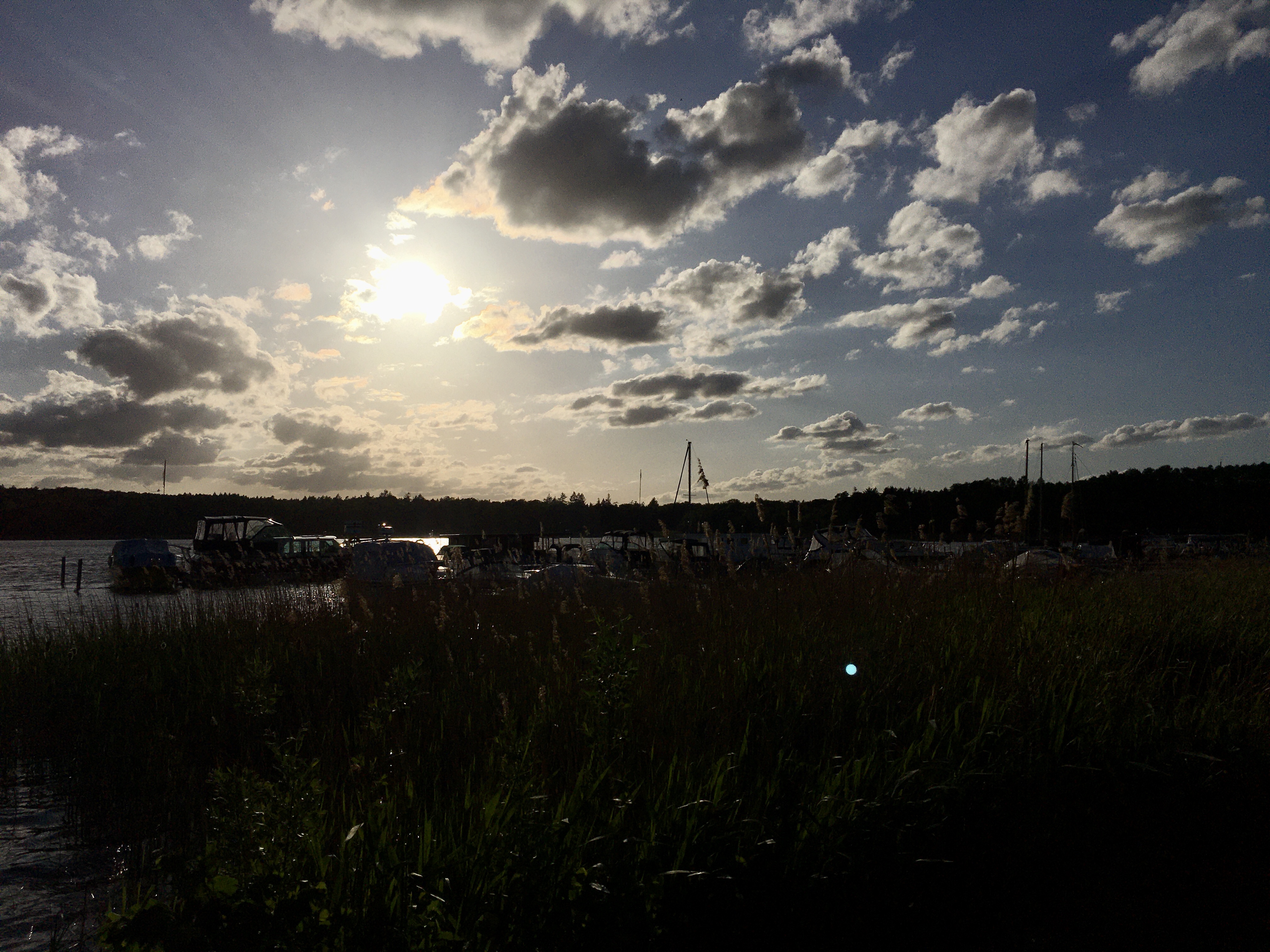 61F869FF-9934-4A62-B330-4BBBE2BF17F5