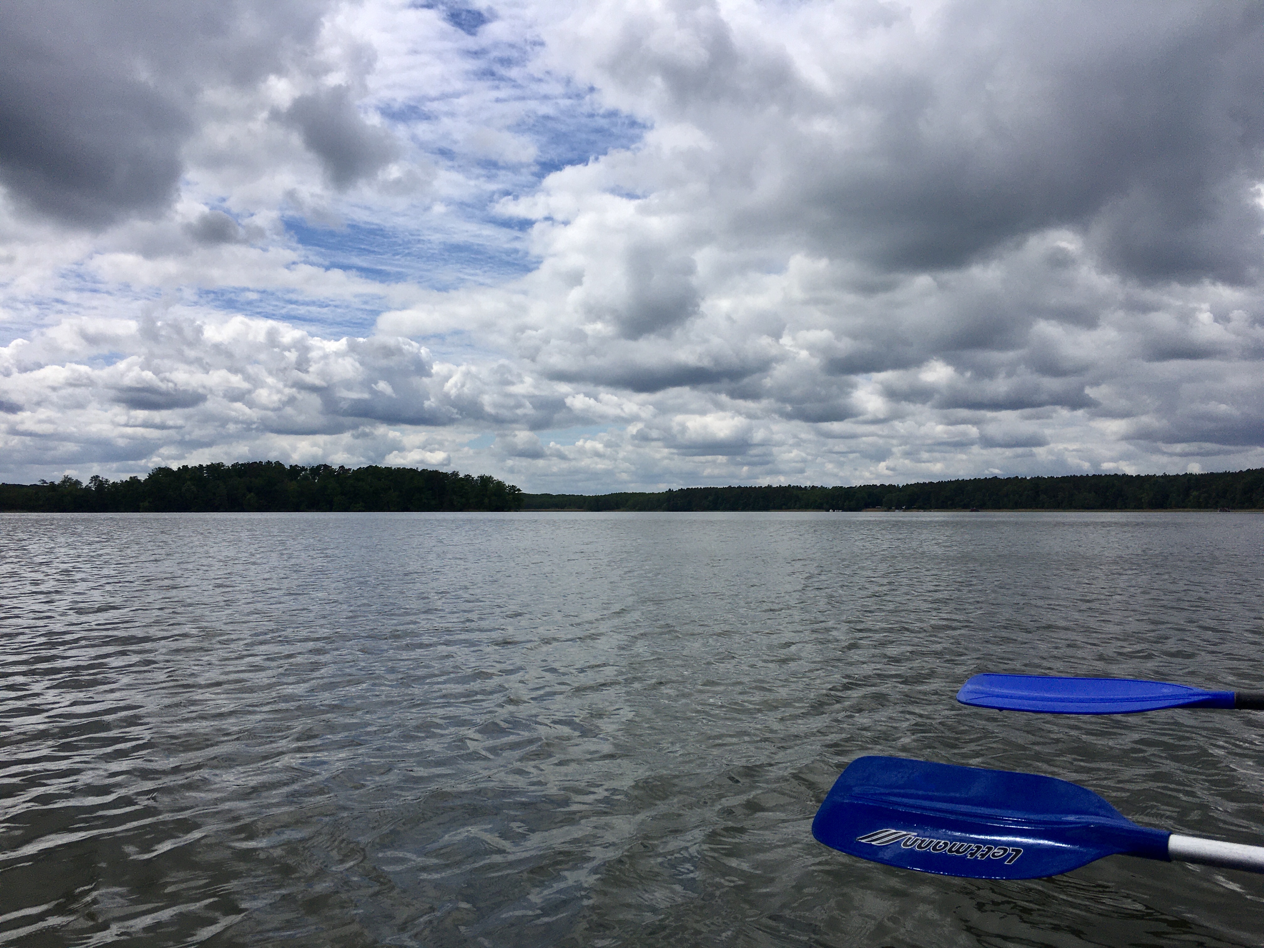 8A9B6432-A6C1-428B-826B-477AC8F153E8