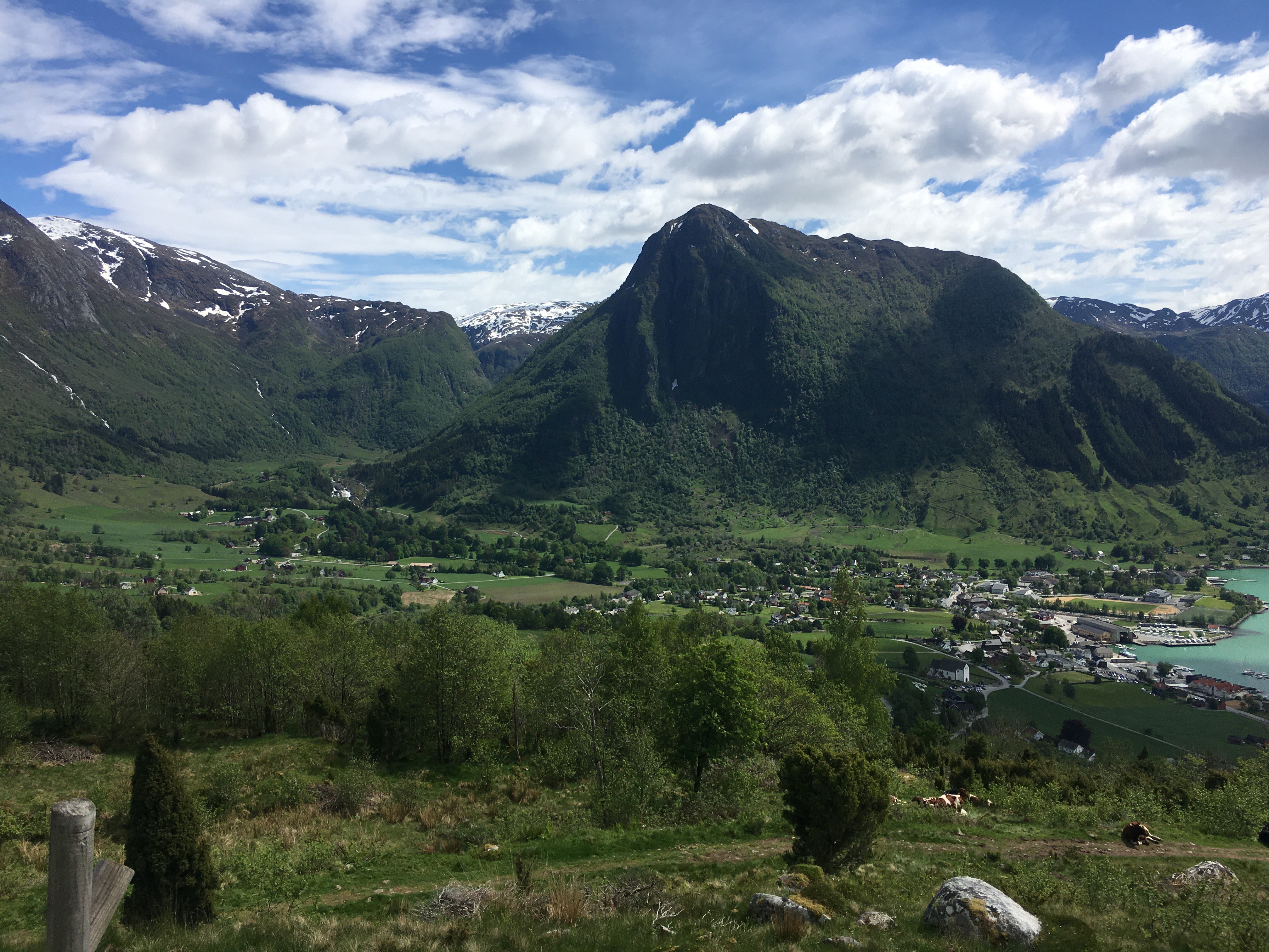 FA4F6E35-9CBE-418D-B69F-408CF78742B2