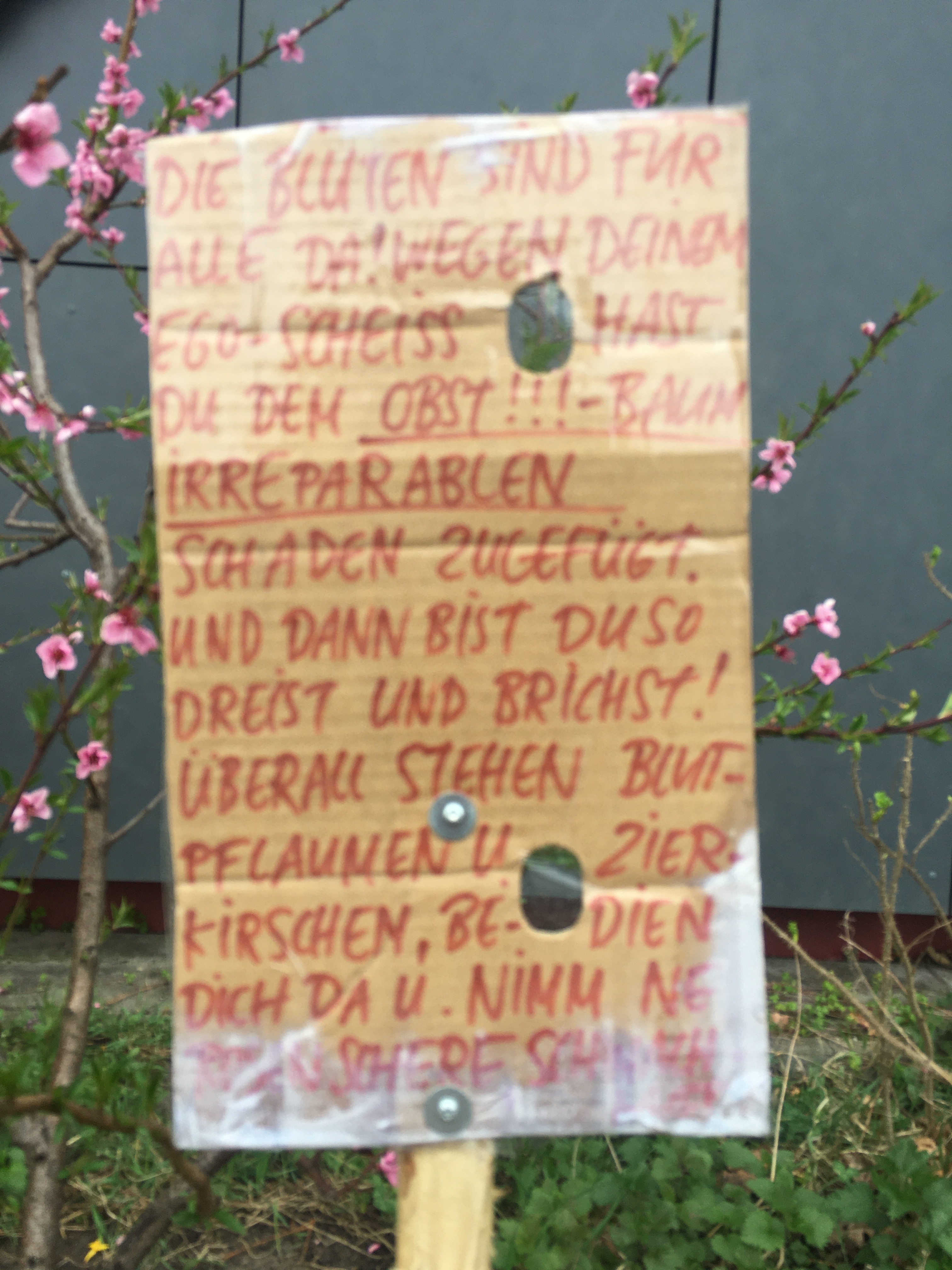 A1EDD2BD-72E3-49EF-8936-7359ADF284B3