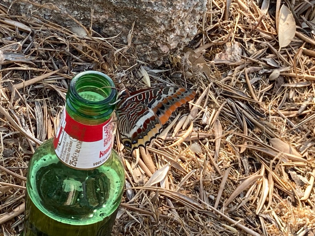 A3225ABA-3947-425B-89F4-A2E892765B1F