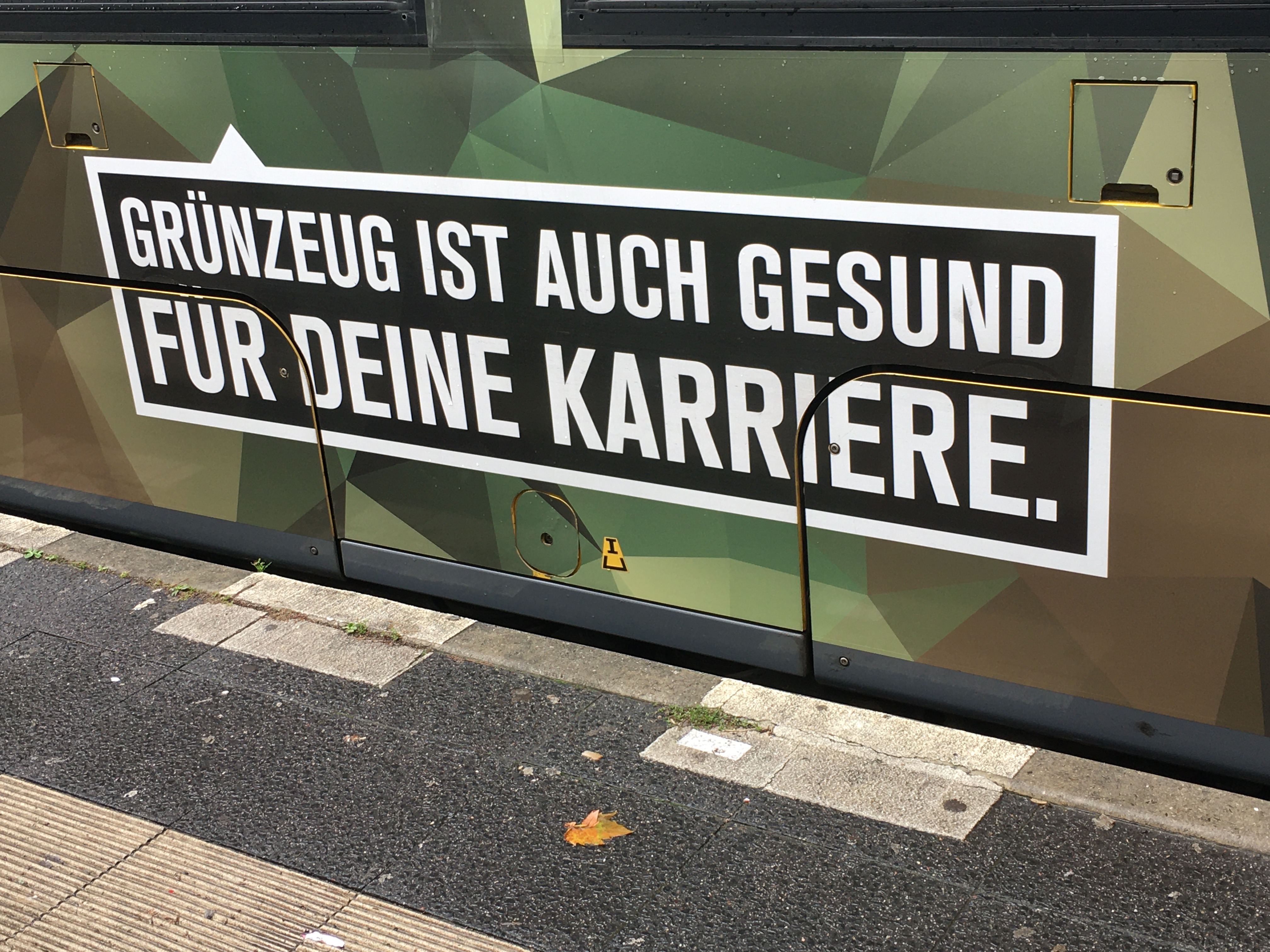 442EAC6F-3D18-446E-8DFC-45471841C309