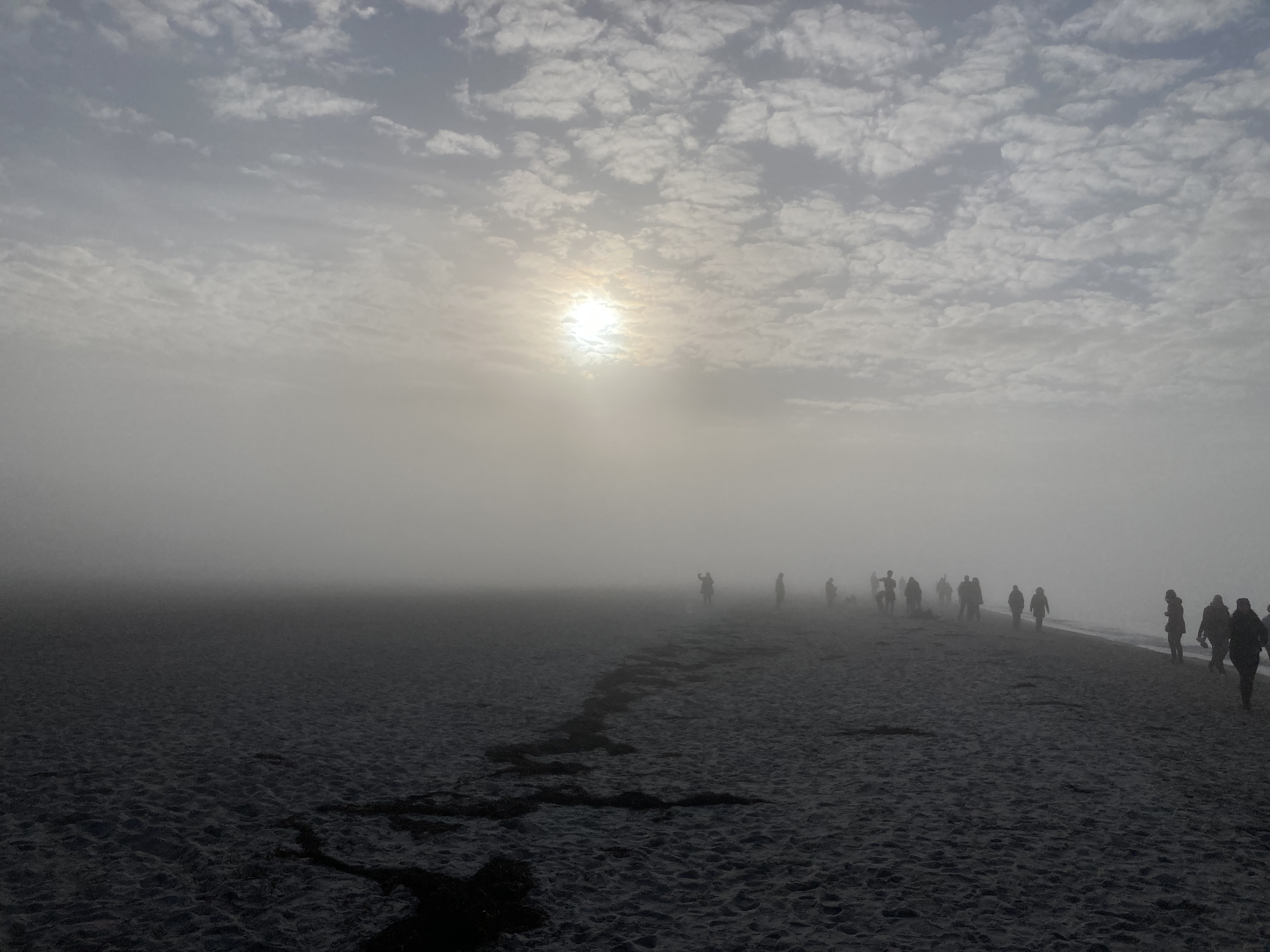 7EBEDA86-F099-4F71-B60D-02B84880F86B