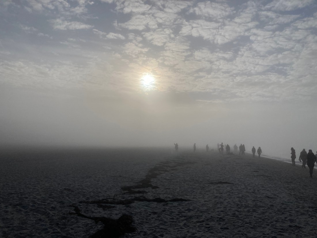 7EBEDA86-F099-4F71-B60D-02B84880F86B