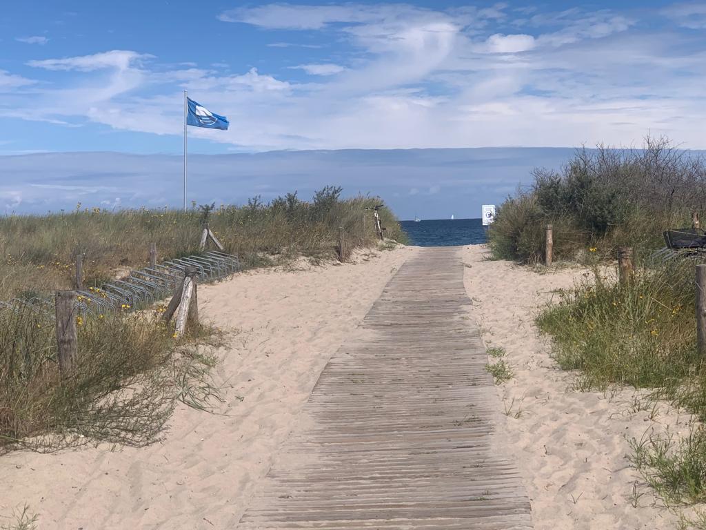 989434FC-9273-4046-B57F-FFA993B4D1CB