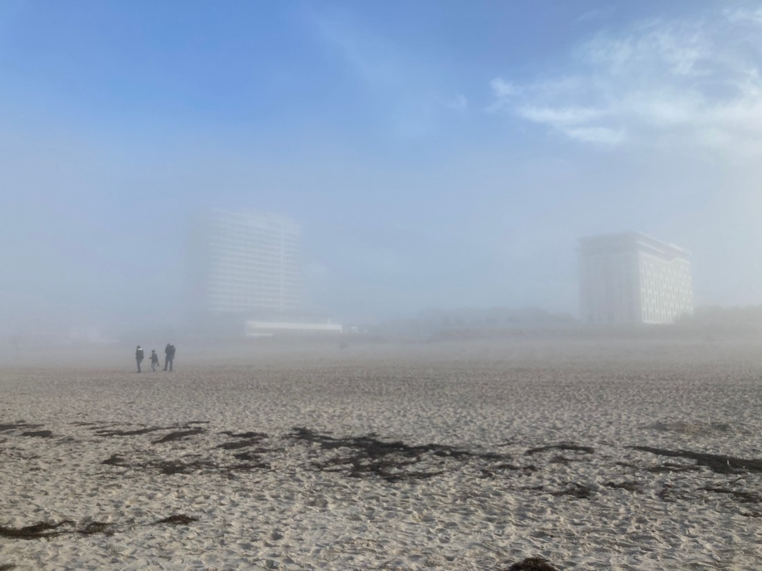 A6583CE3-E531-4BA7-9DBB-99C2D50AD6E2