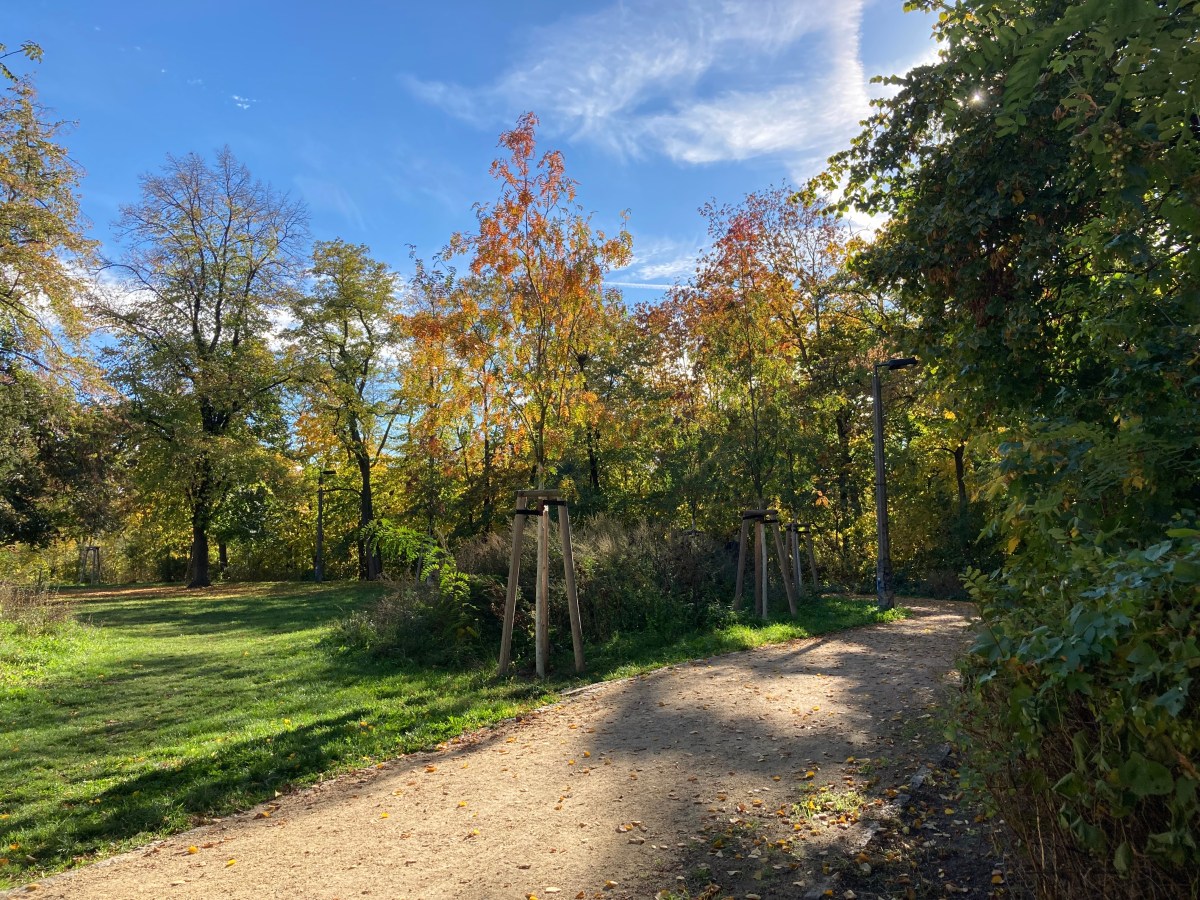 70) Postkarte aus Berlin:&nbsp;Herbst
