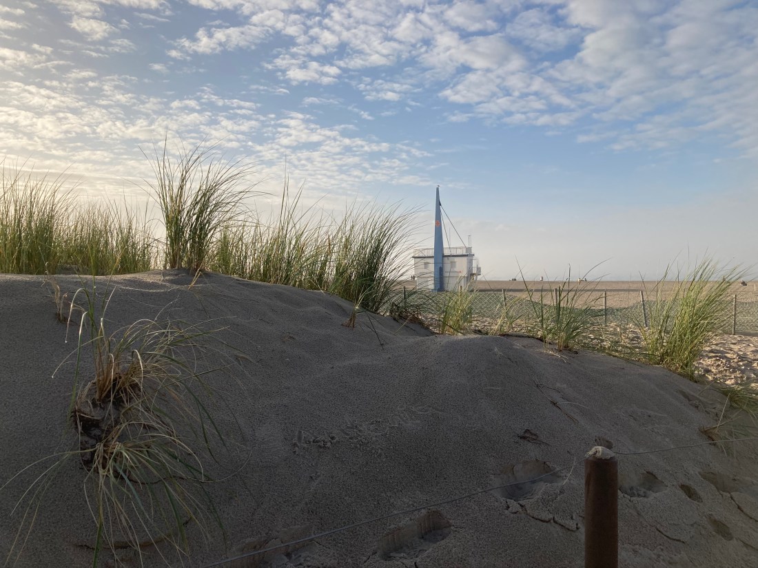 AA3CCC74-3463-4C60-BB74-919777E3D7CF