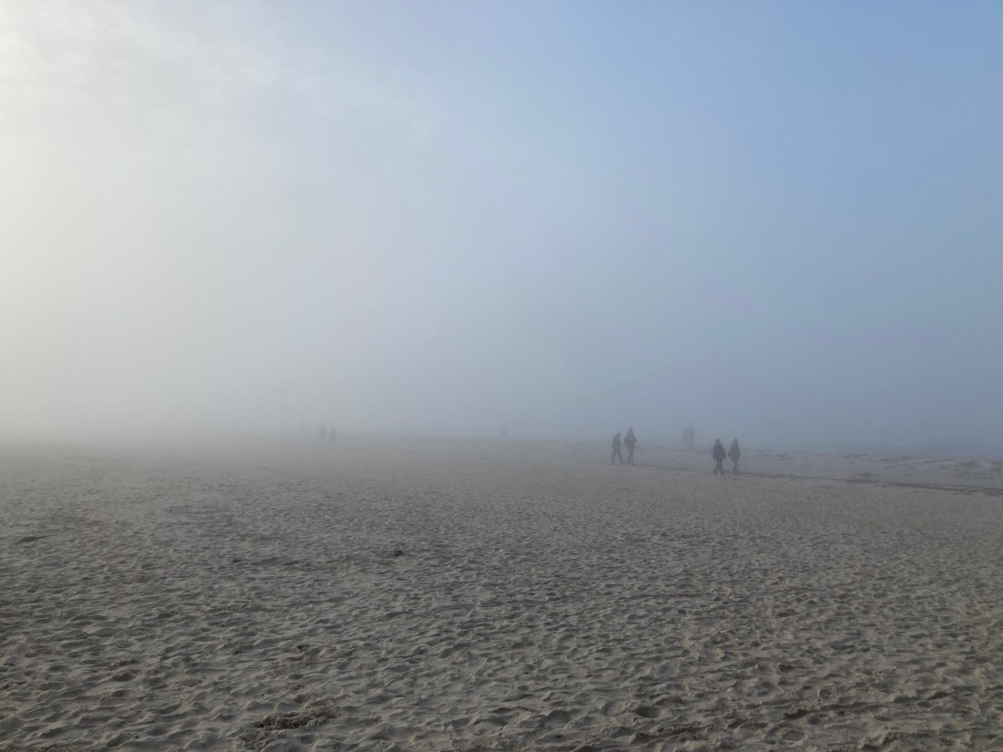 ABB83B87-0D3D-4F12-AD4D-262193659AC7