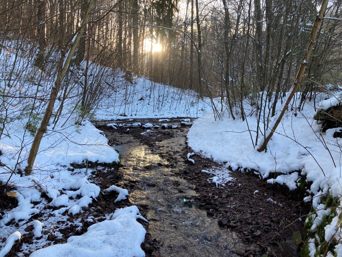 77) Postkarte aus&nbsp;SM-EF-GTH