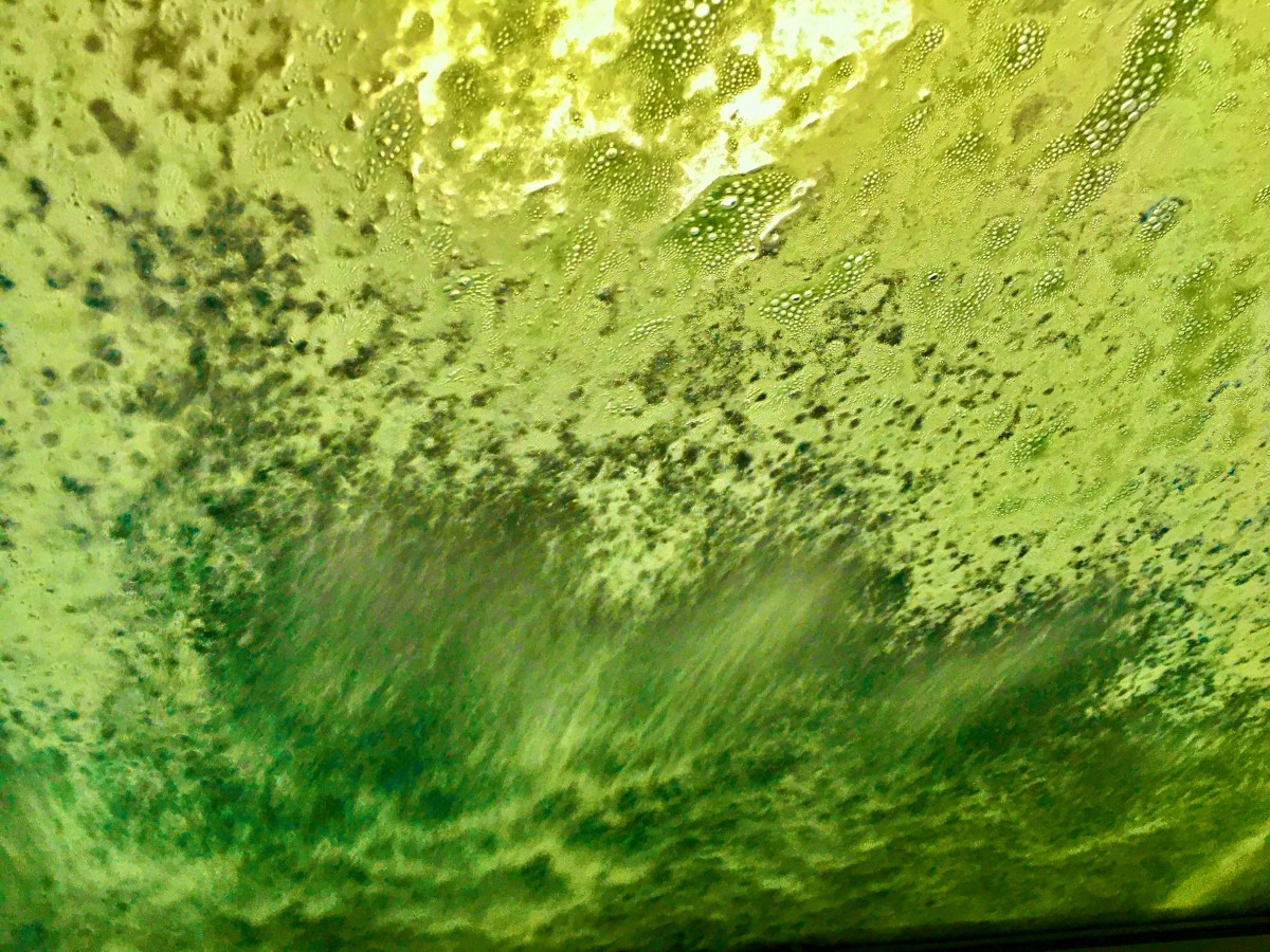 54) Wenn Bots bloggen (25) –&nbsp;Schweinehund