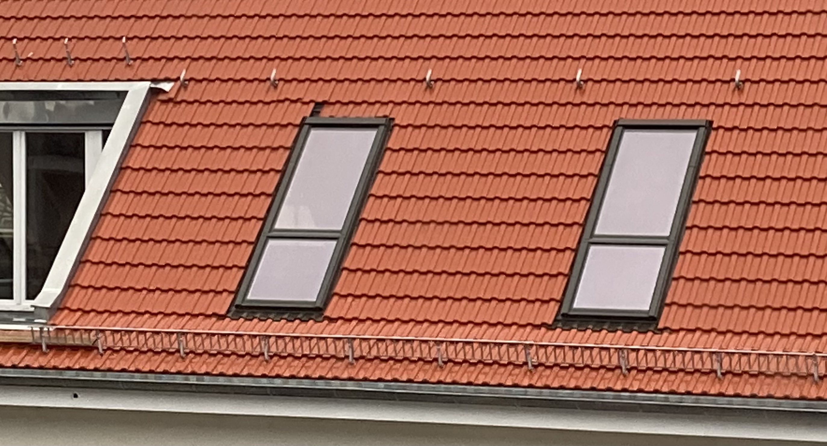 FF7B3F6B-F192-42F9-ADBC-0003E76B3856