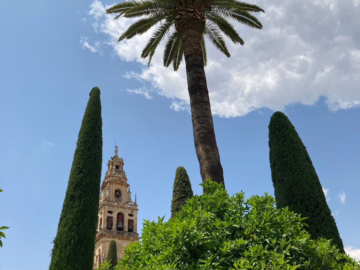 82) Postkarte aus&nbsp;Andalusien