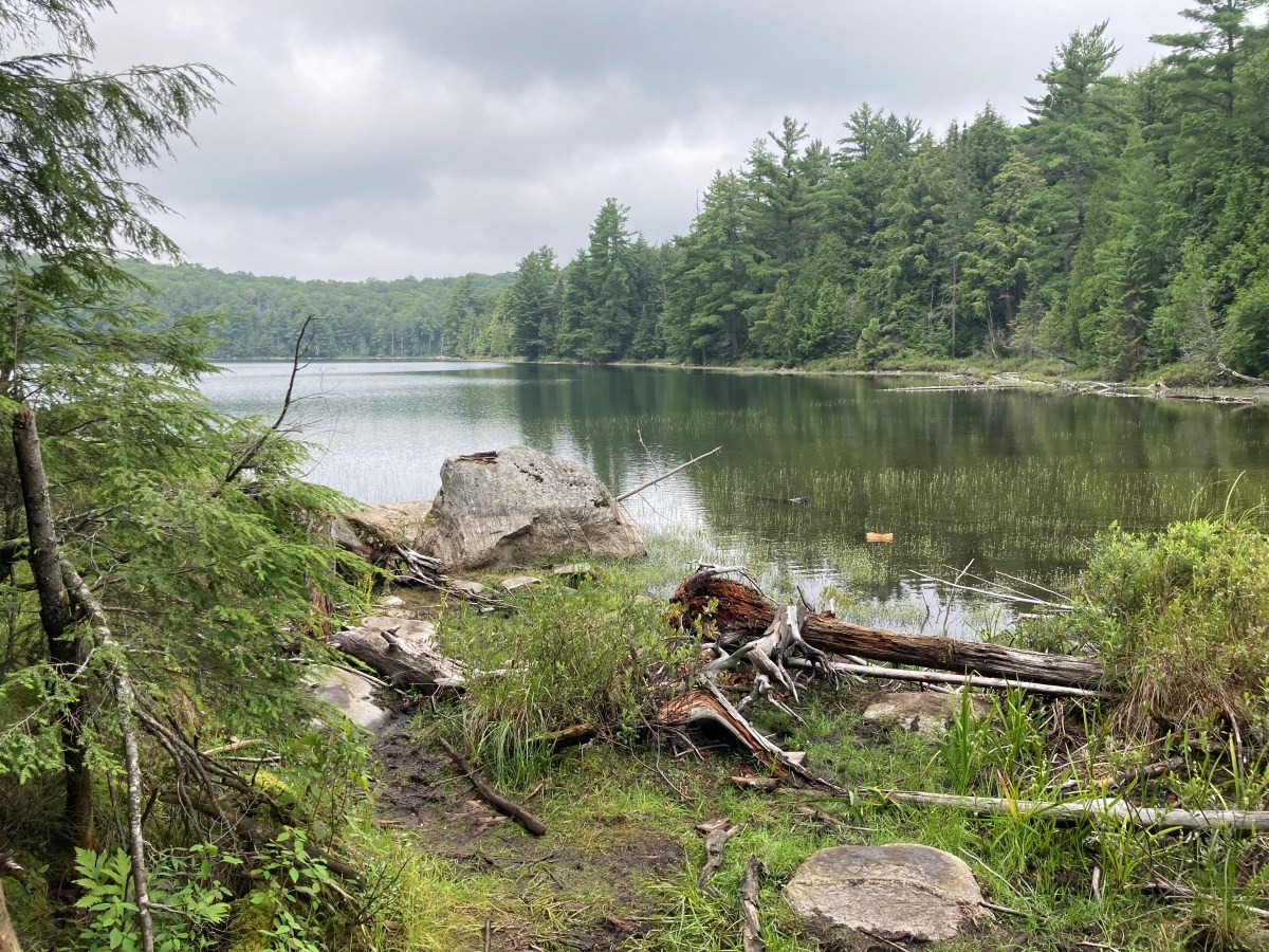 59) Abseits – Vol&nbsp;1